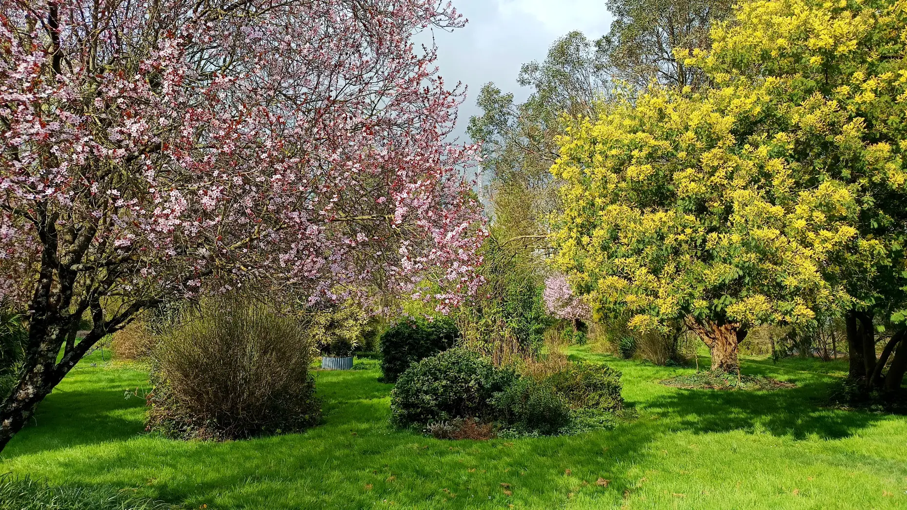 Le jardin de Régine