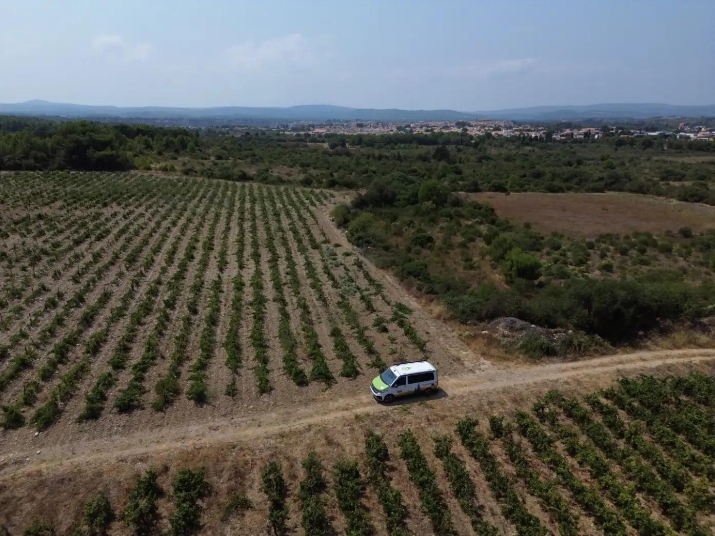 Les vignes de Gérard