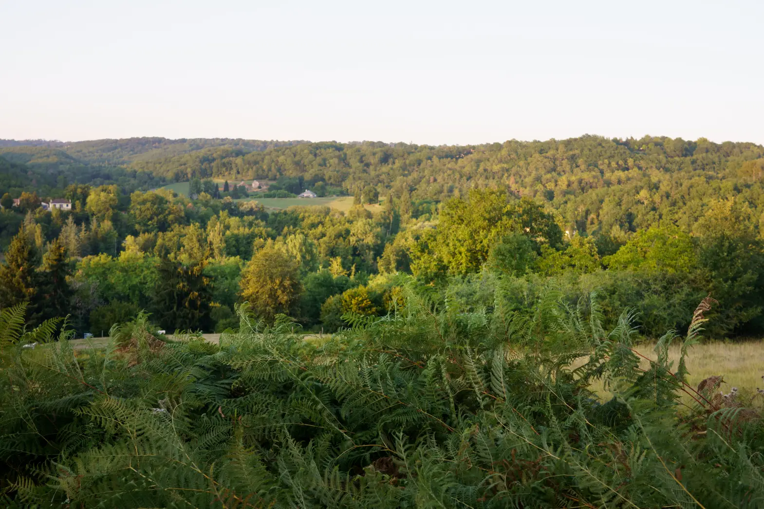 La cachette du Bara Bahaut