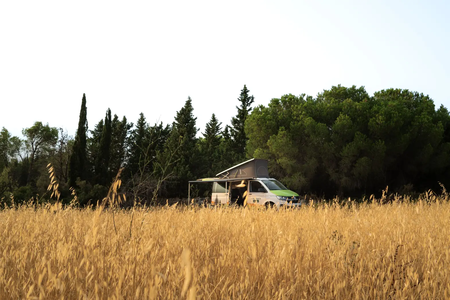 Corbières #7