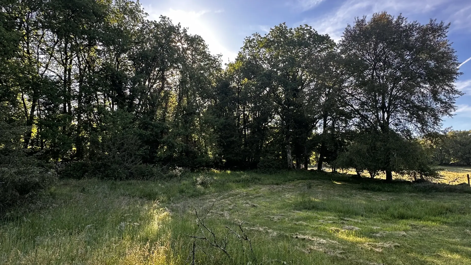 L'Étape du Pèlerin