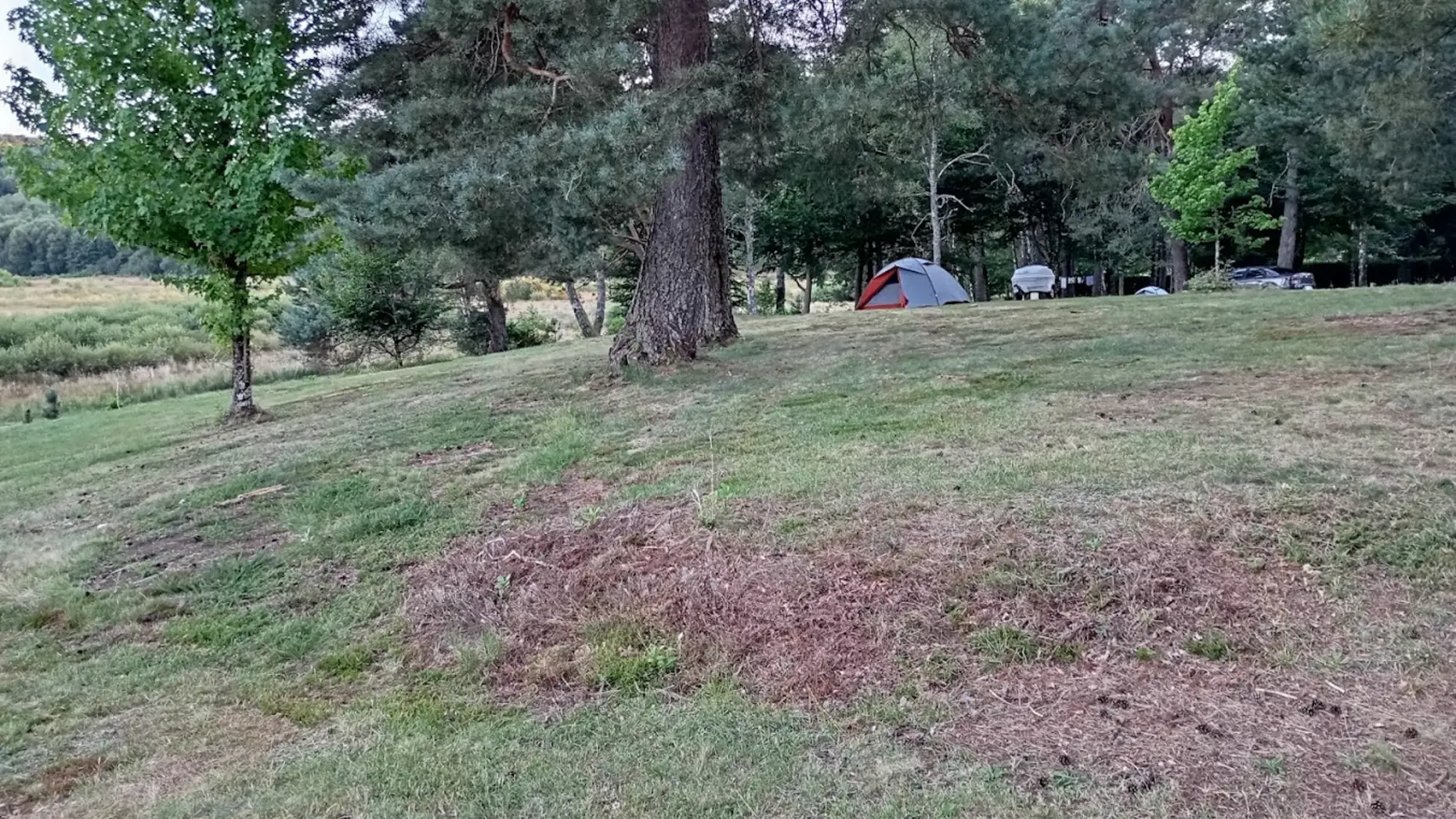 Camping au Cœur du Parc #11
