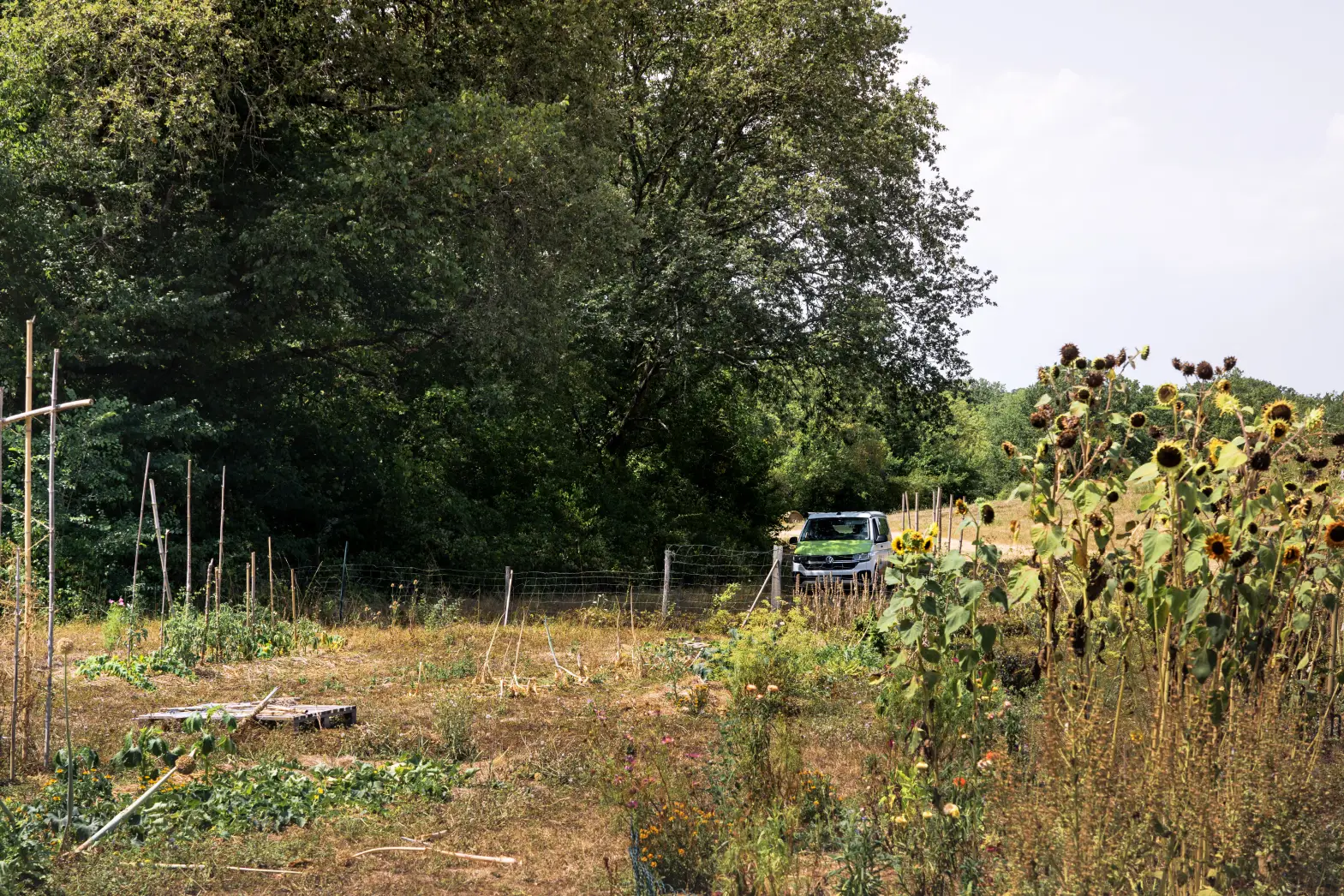 Le potager du Gers #4