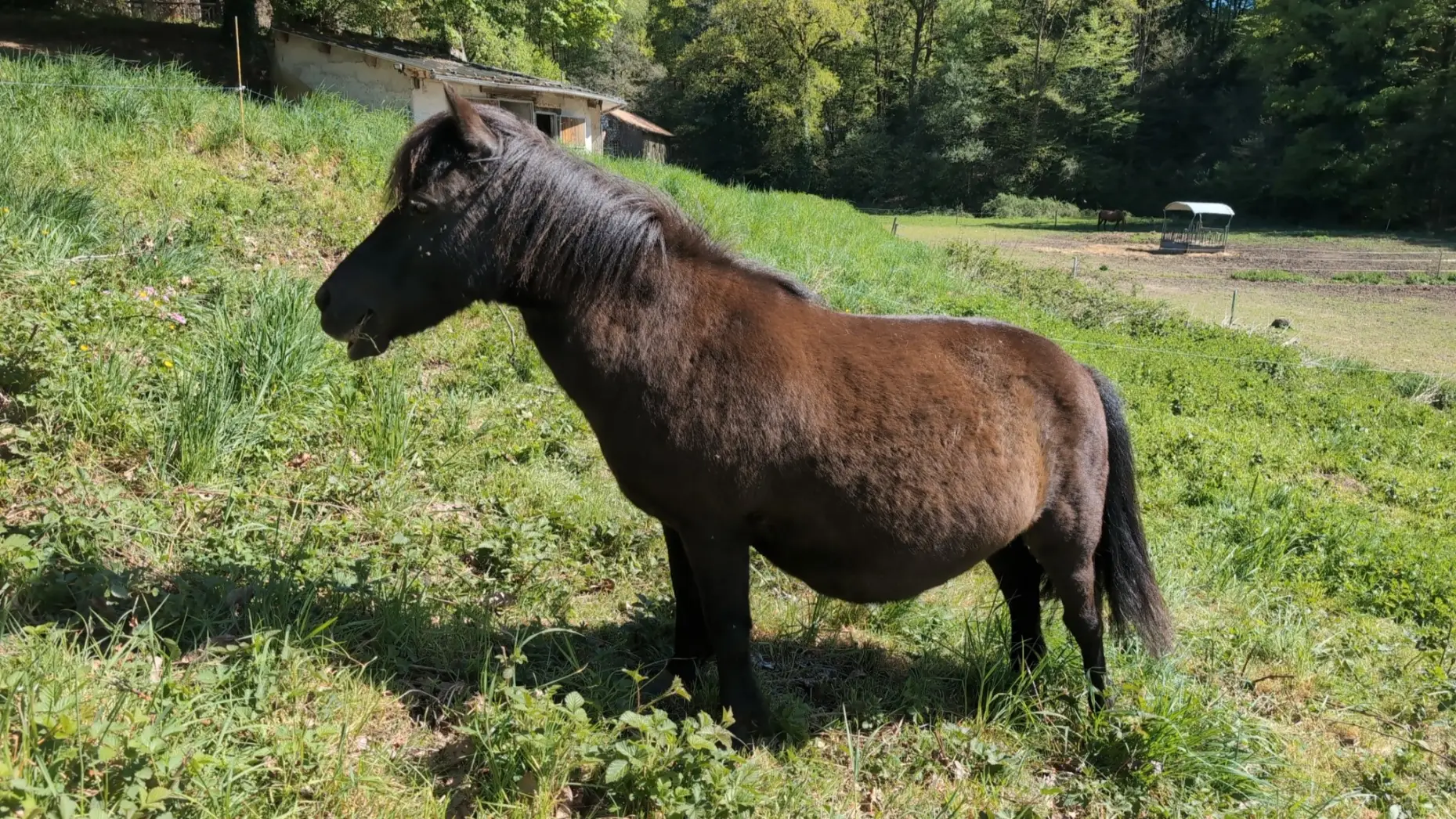 Le Pré du Ritord #8