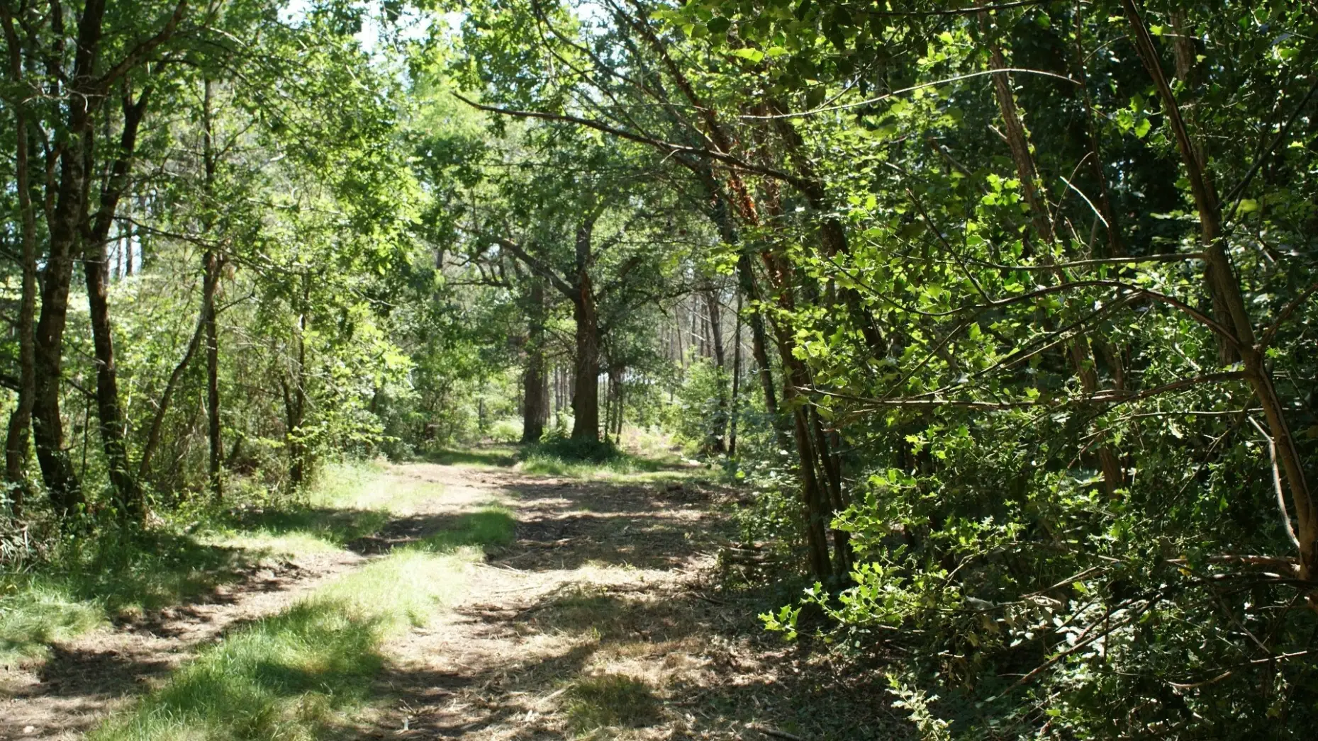 L'Îlot des Chênes