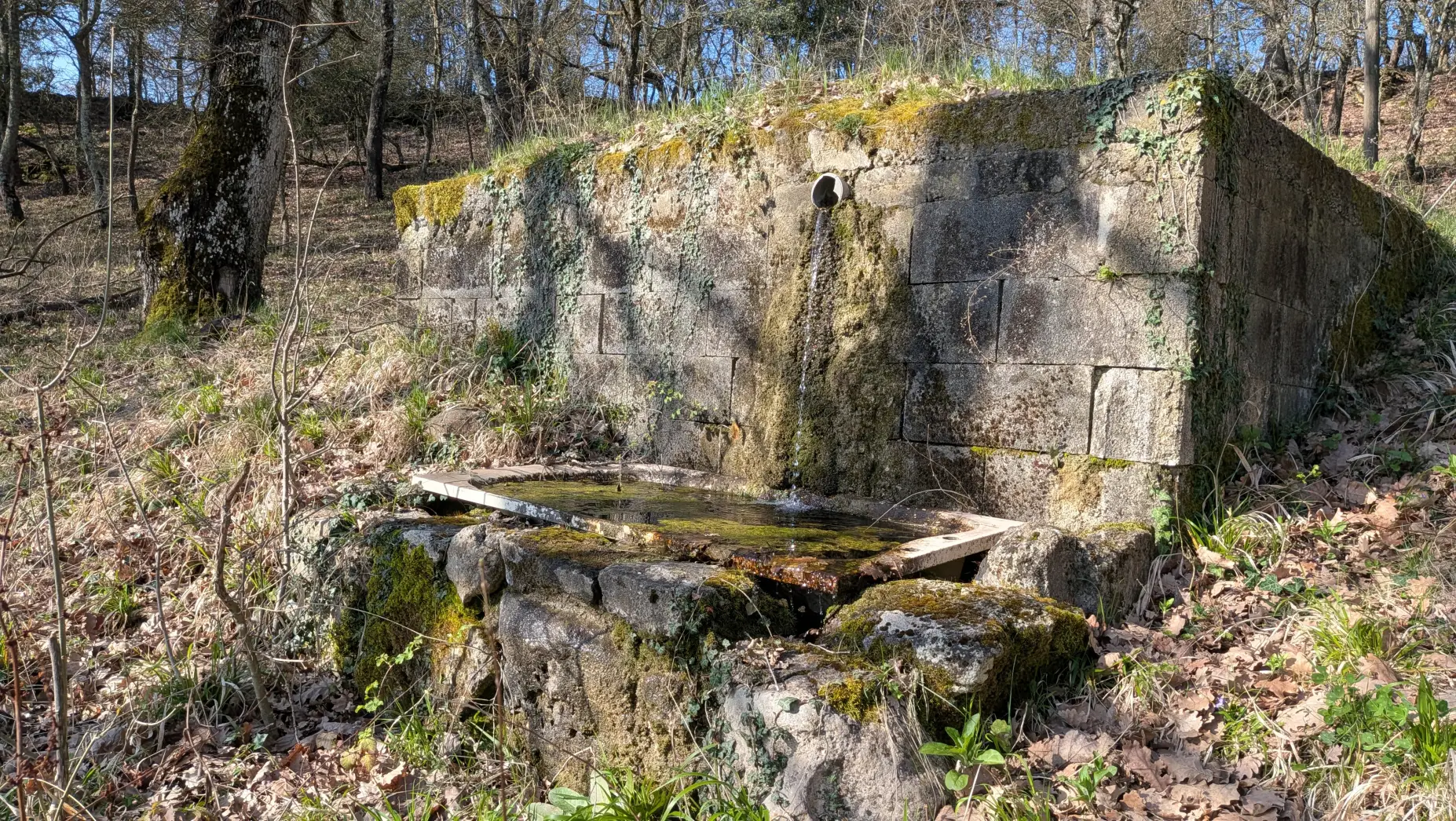 La Source de Carluc #4