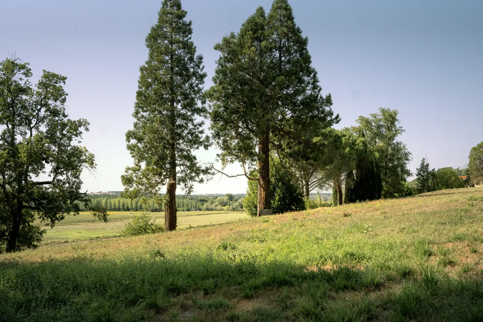 Le Bois du Château