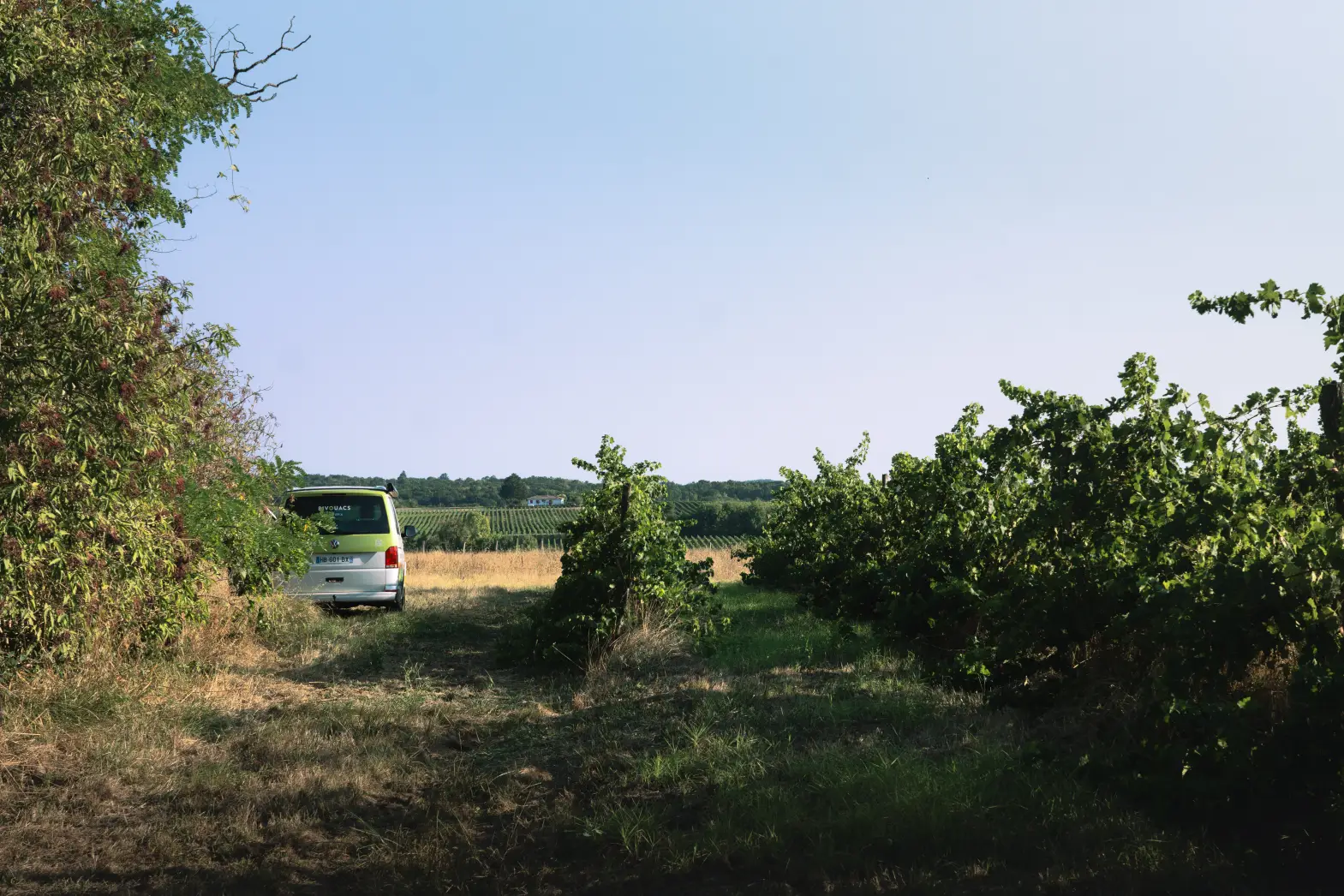 Les Vignes Falgueyret