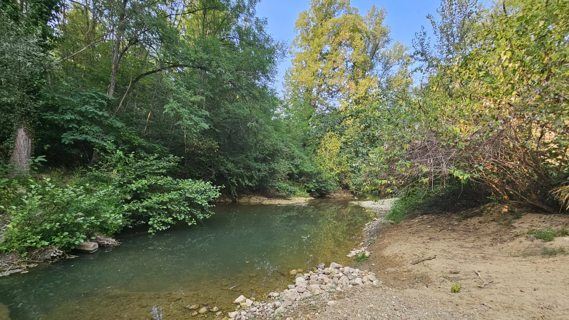 Sous les pins