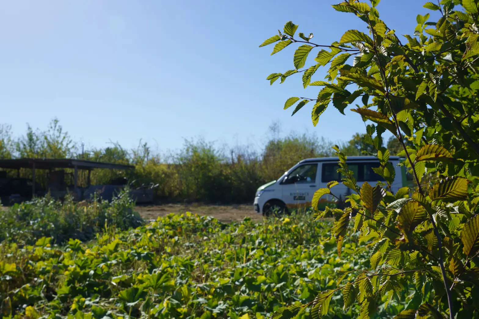 Le Potager de Saint-Martin