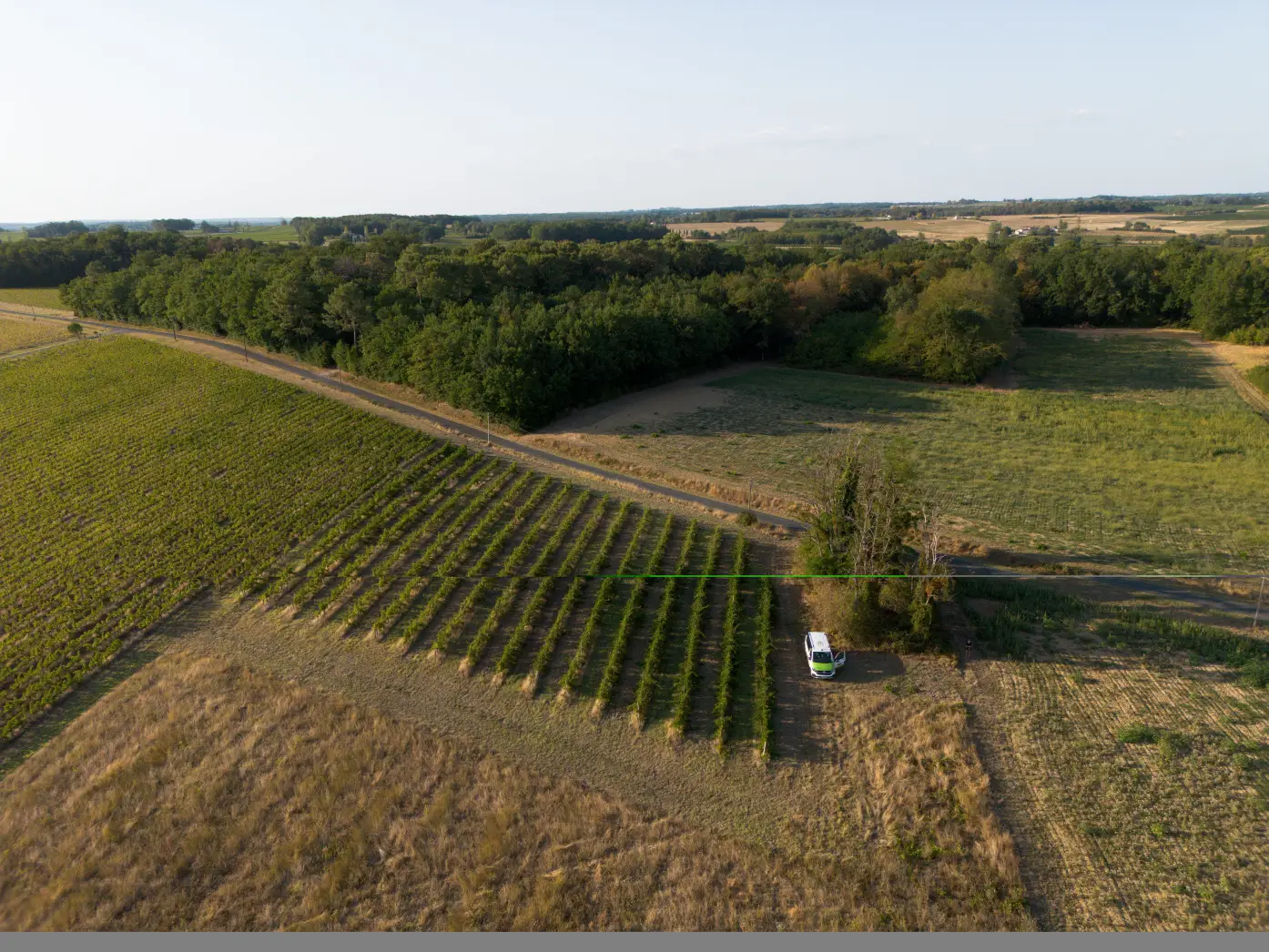 Les Vignes Falgueyret