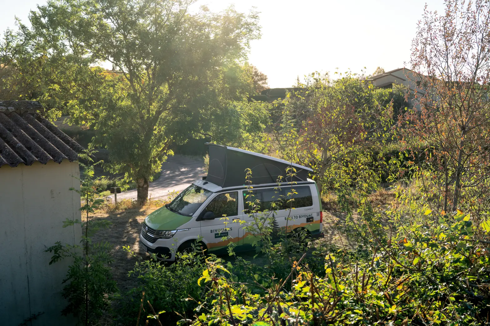 Un clou dans la vigne #5
