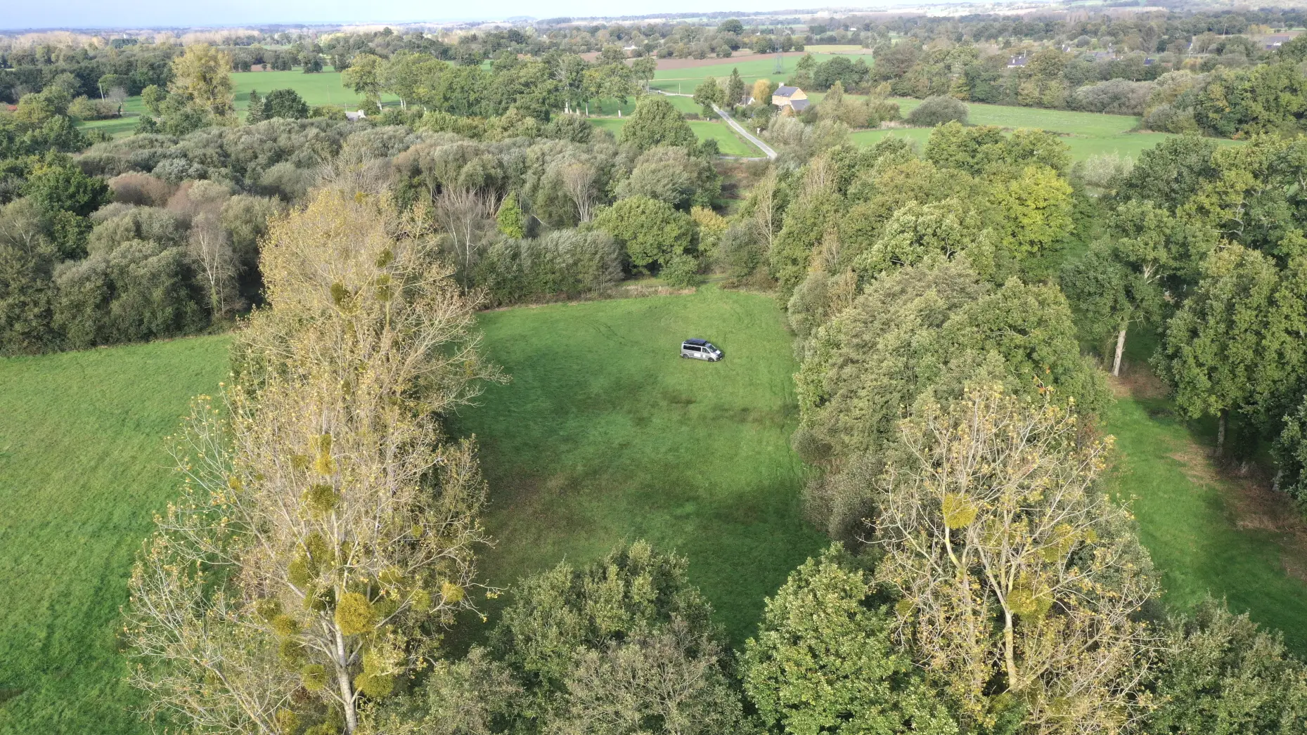 Clairière de la Forêt Enchantée