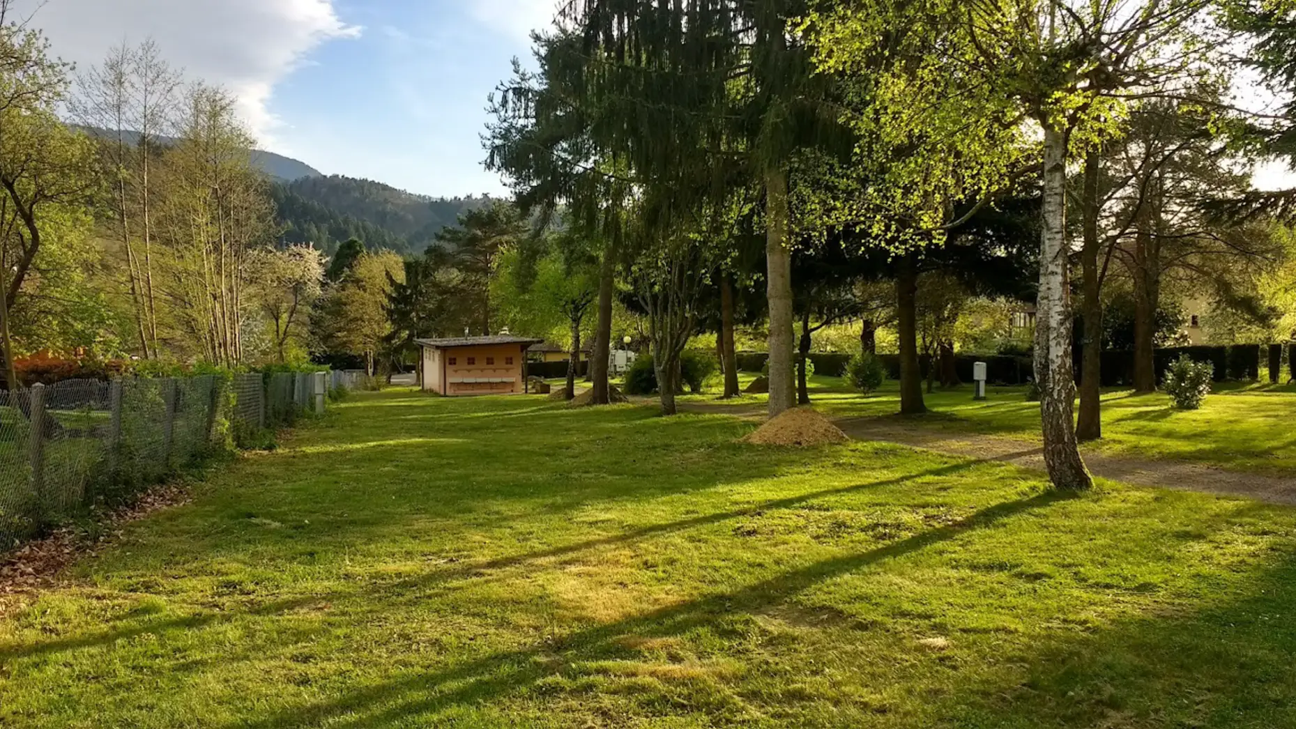 Camping du Haut-Koenigsbourg #7
