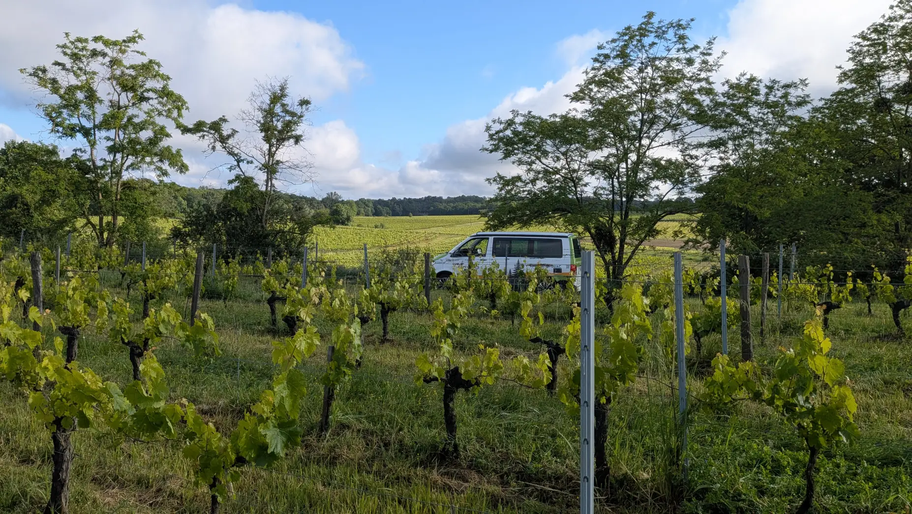 L'Escale vigneronne #5