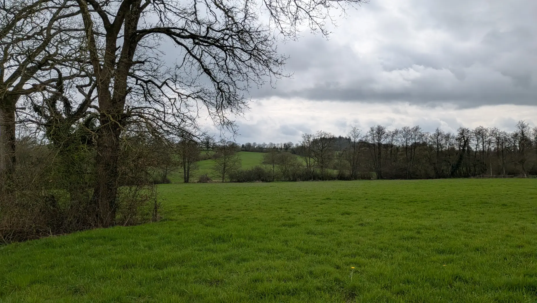 Le Pré Sauvage