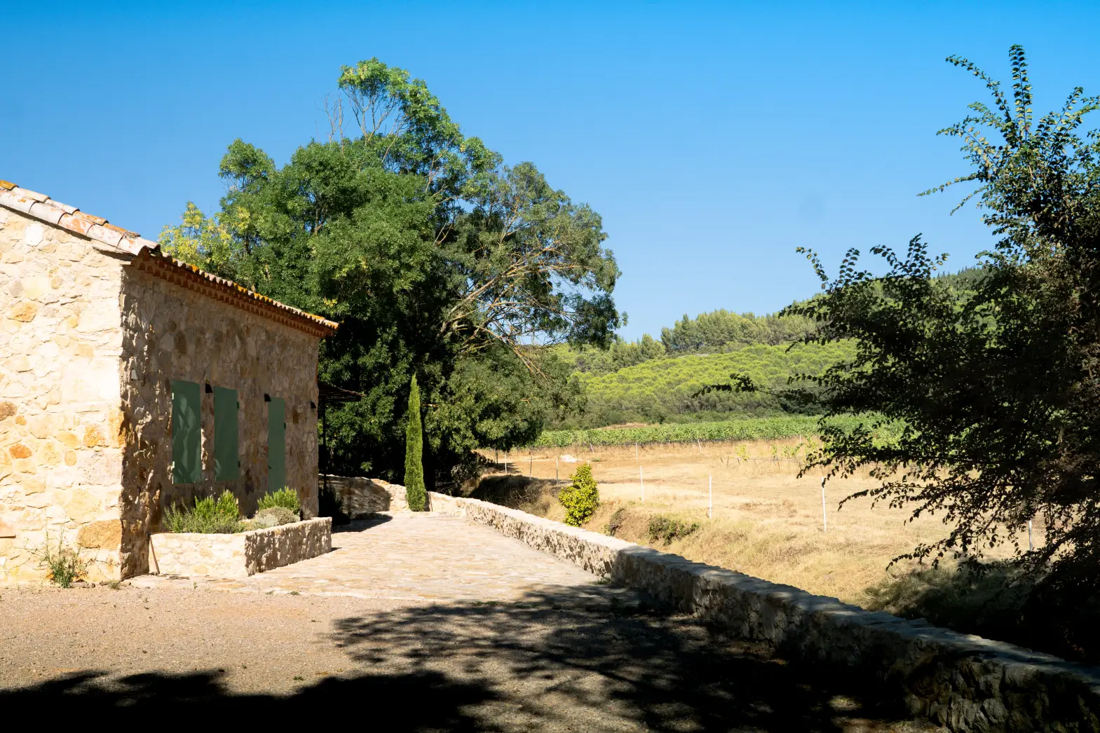 Malacoste