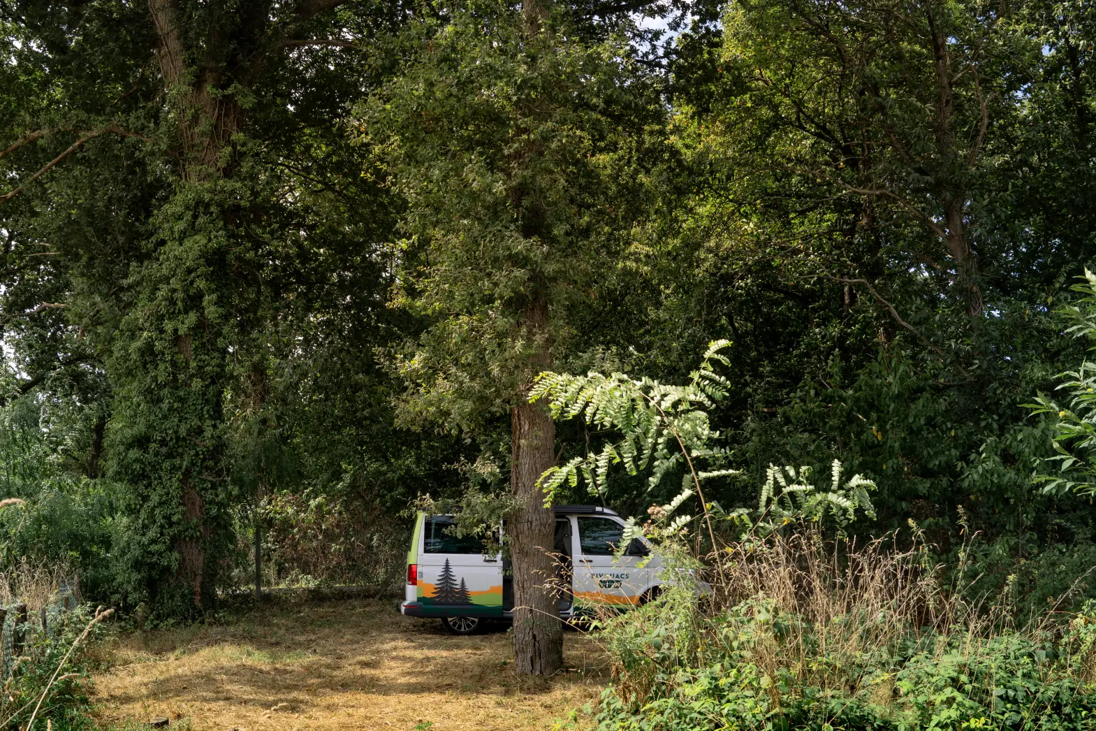 Le ptit domaine