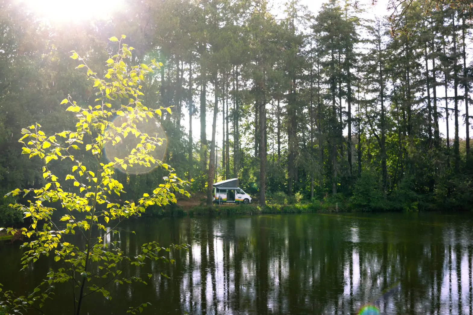 L'étang de Brocéliande #5