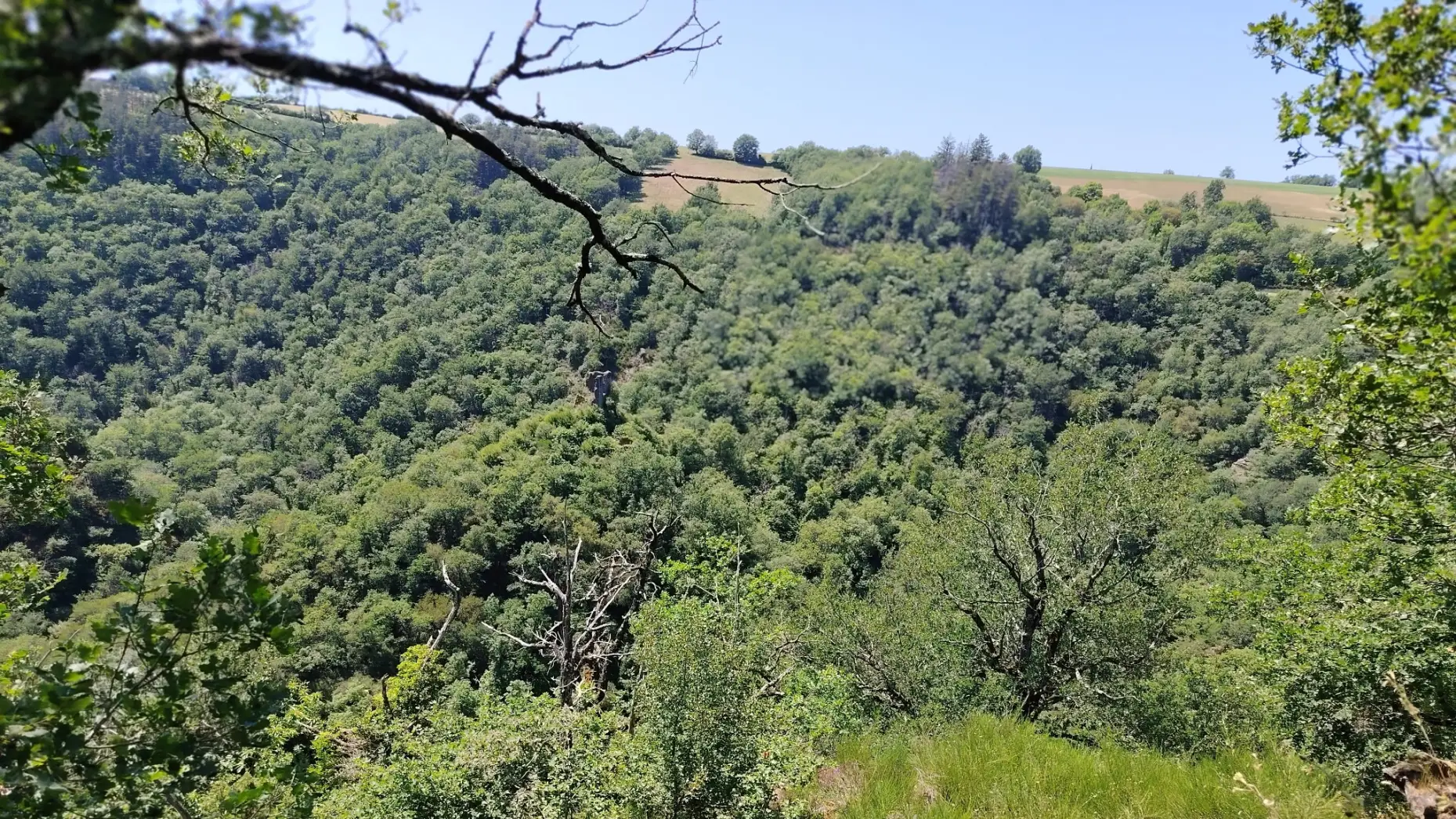 Le Sous-Bois du Viaur