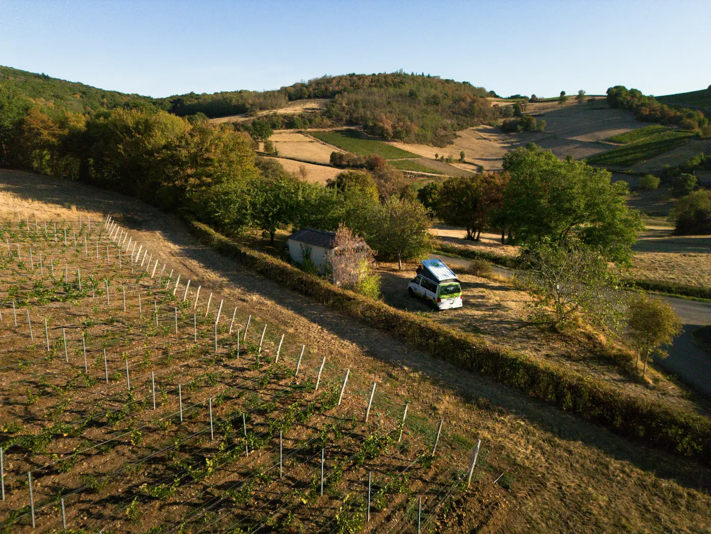 Un clou dans la vigne #4
