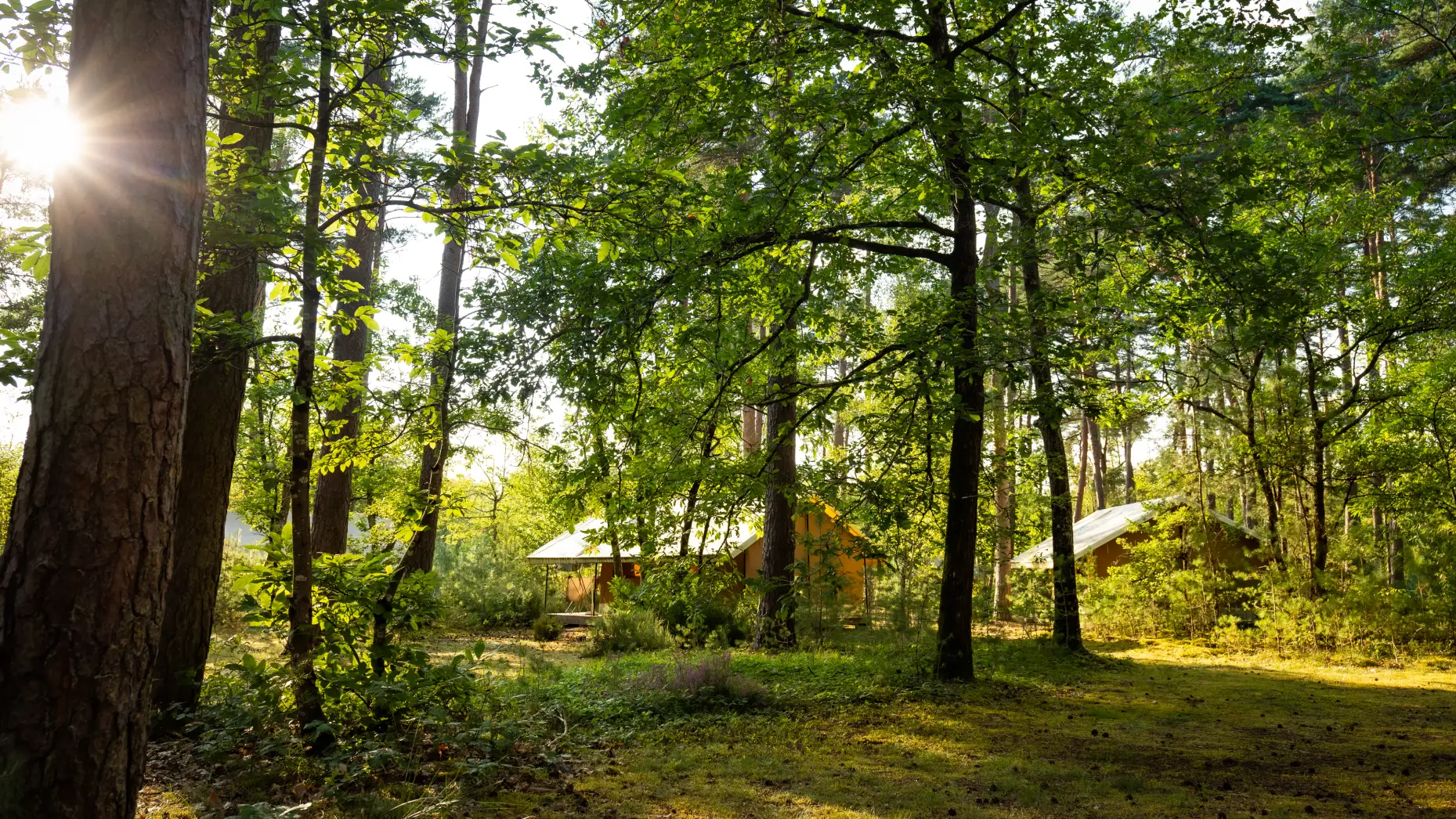 Camping Les Pins
