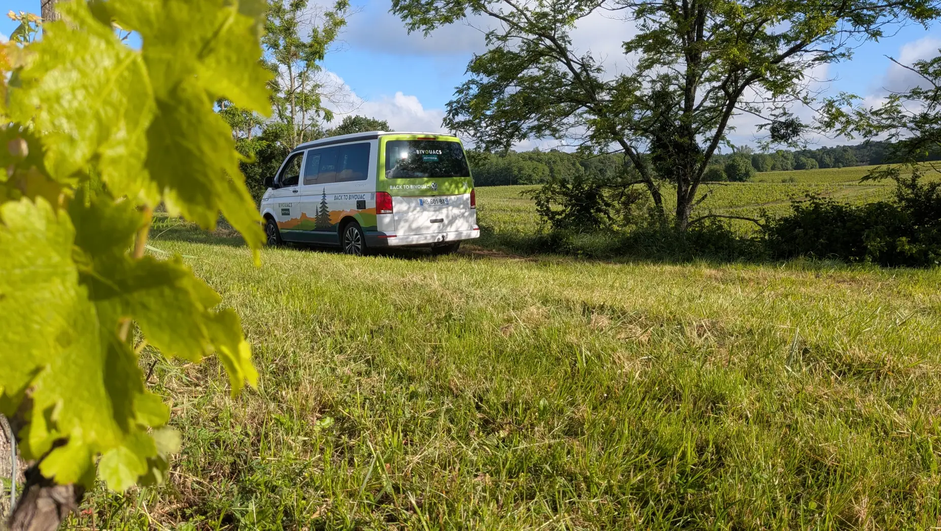 L'Escale vigneronne #4