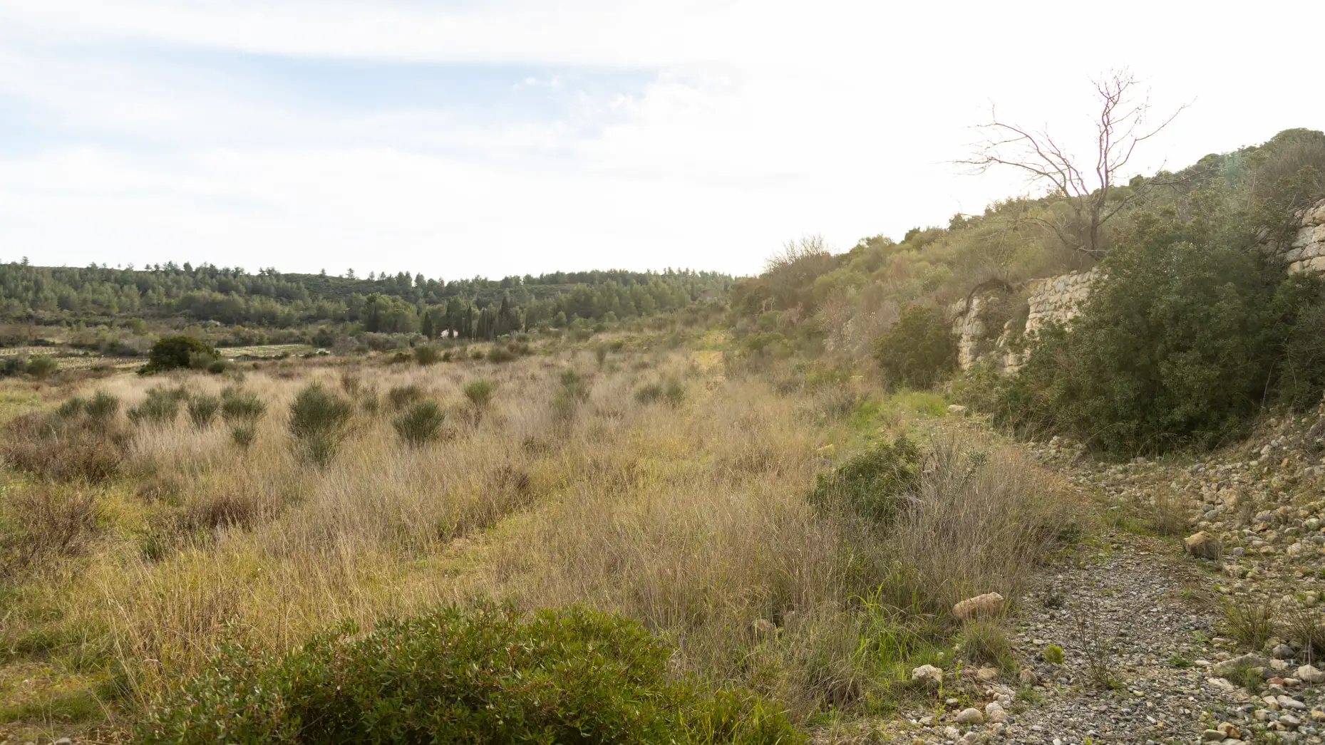 El cortals