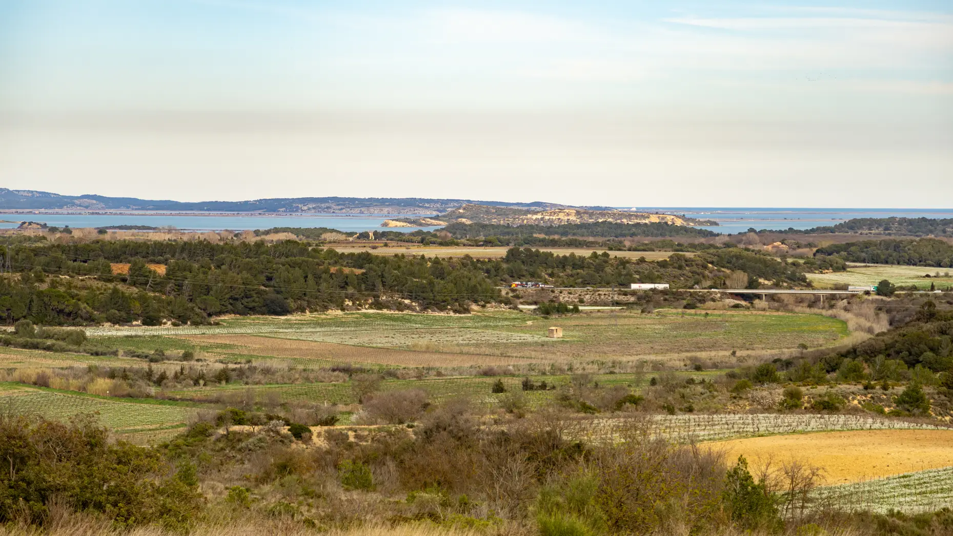 El cortals #8