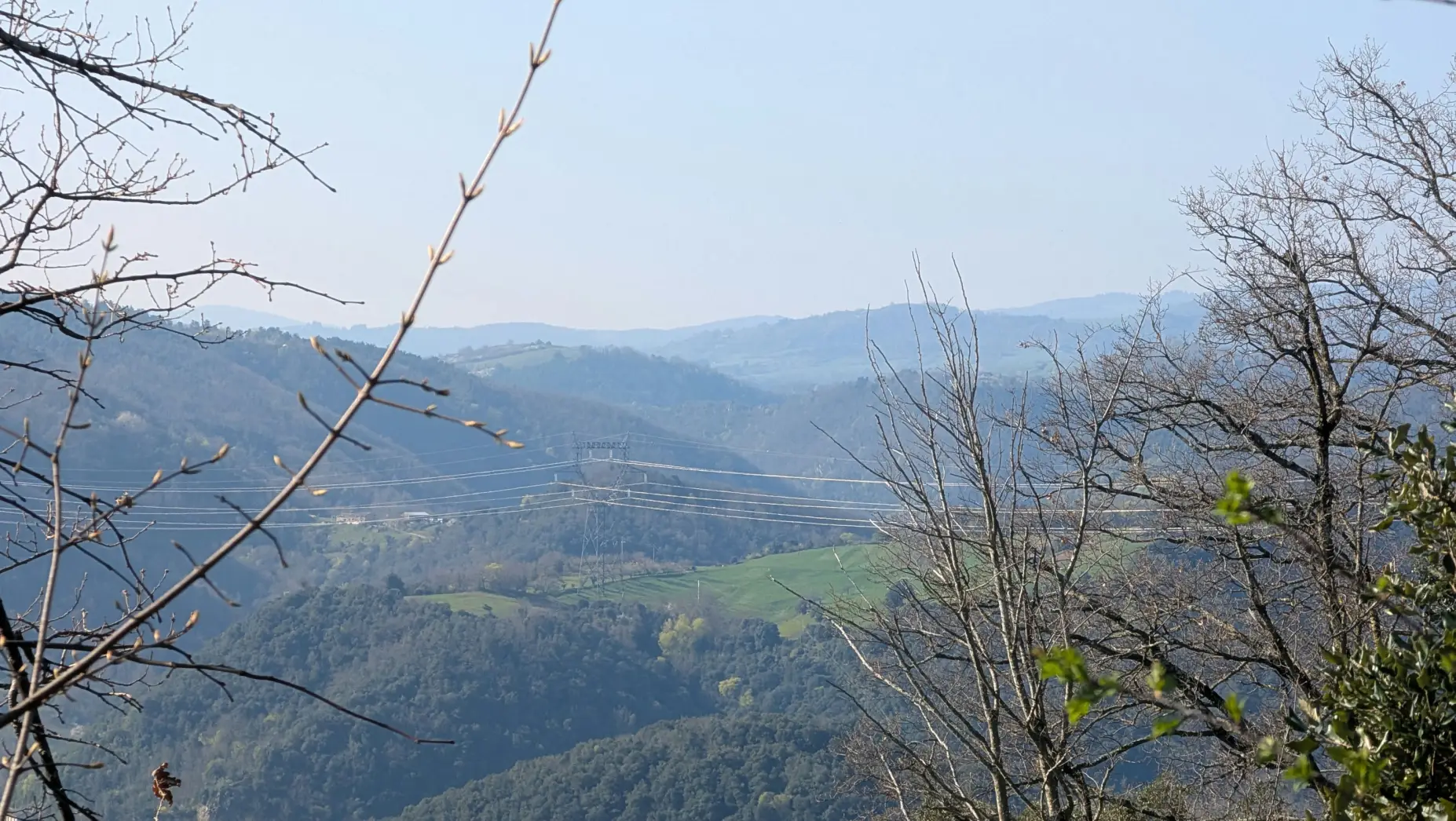 La Clairière des Terres de Beauvoir #4