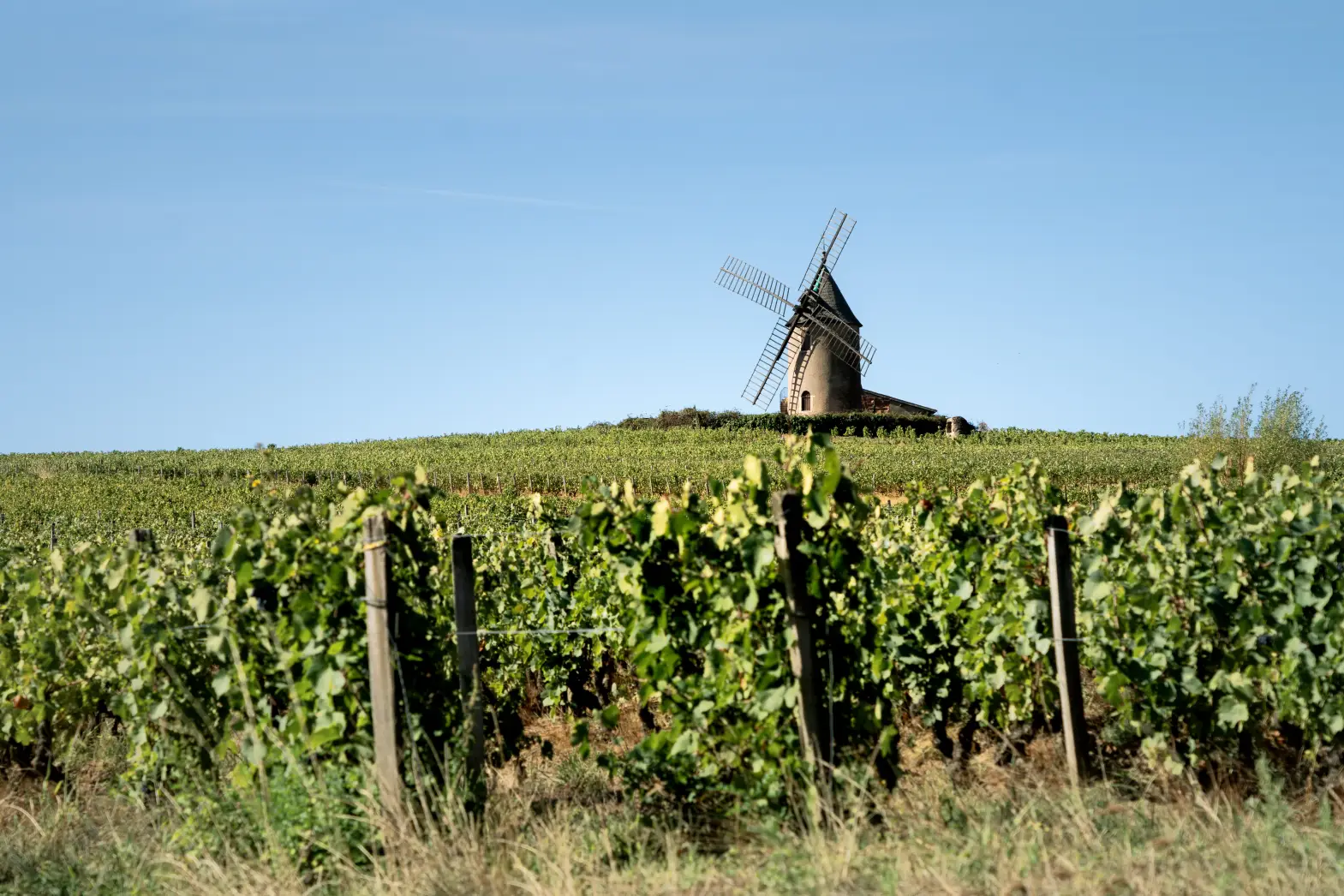 Le Moulin à Vent