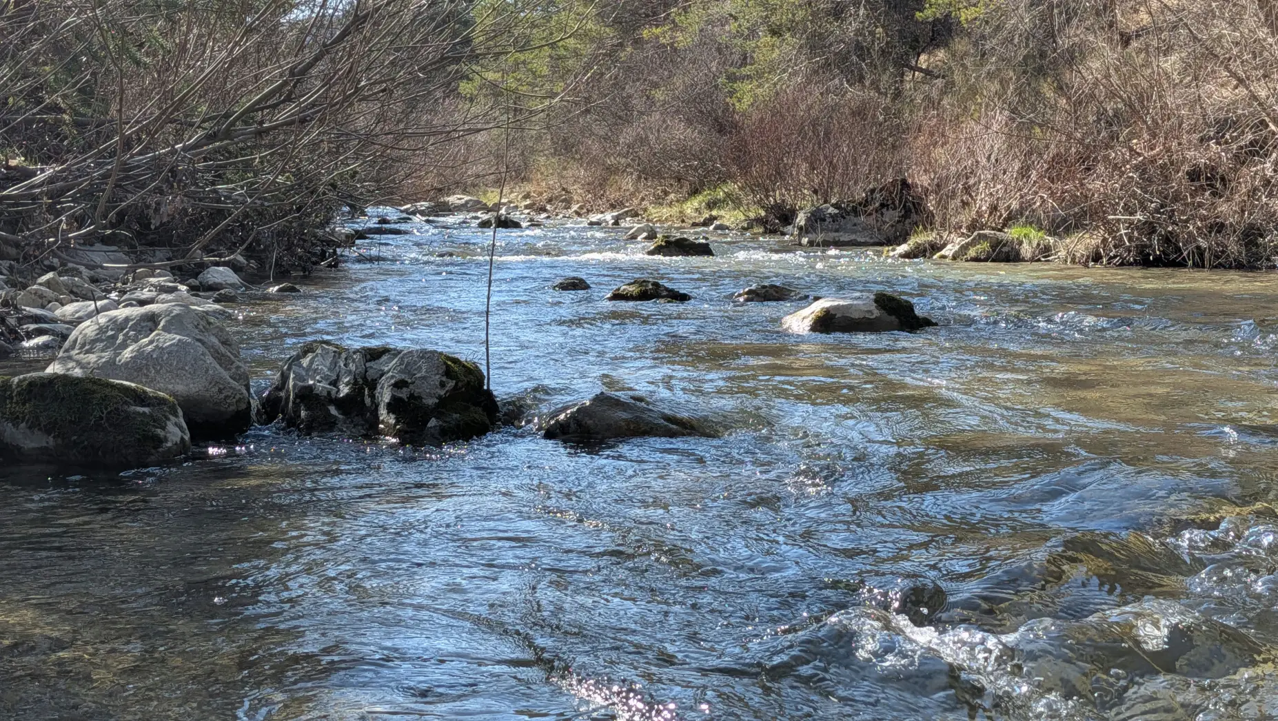 La Source du Jabron #4