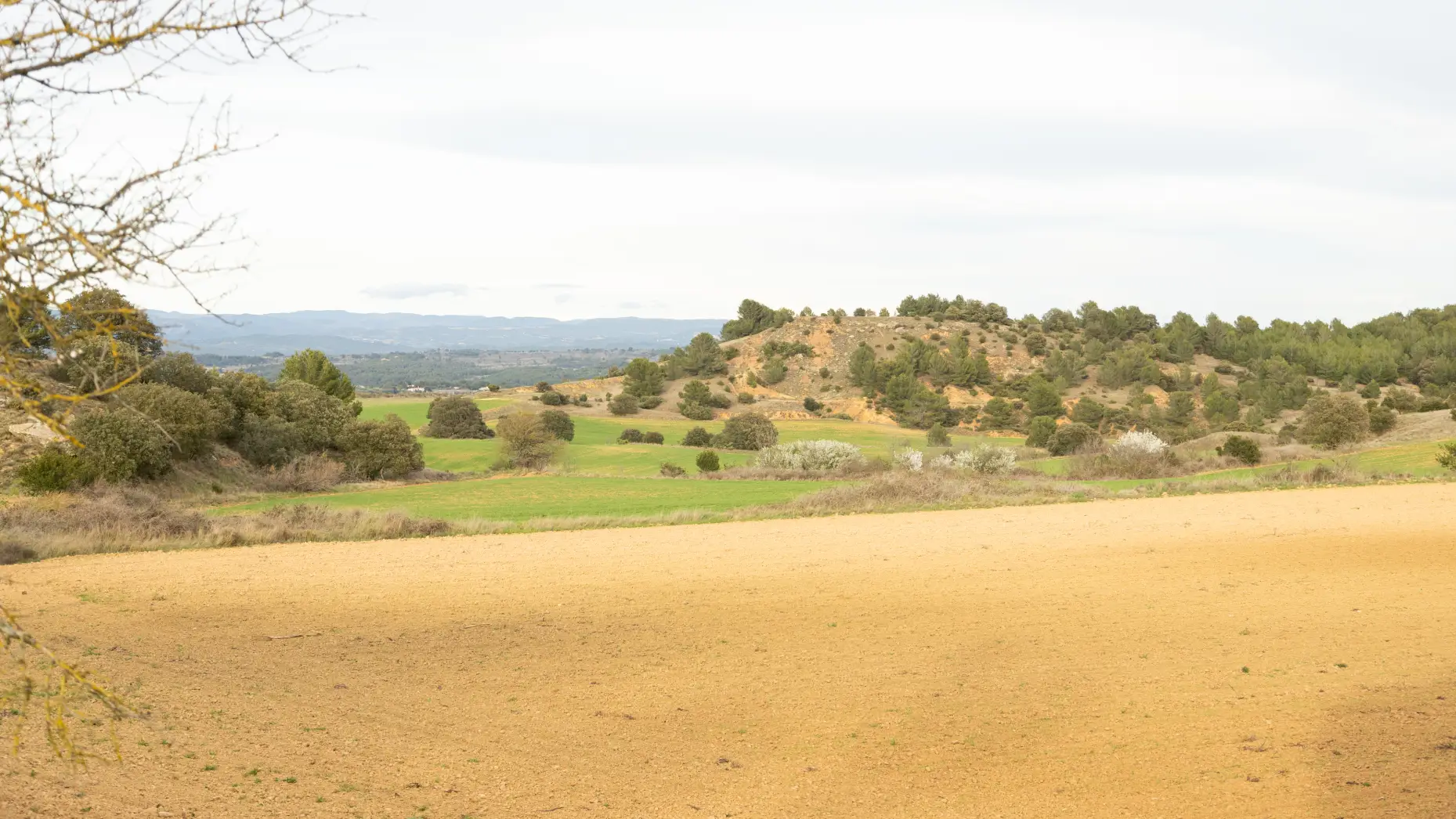 Domaine de Borie Neuve #4