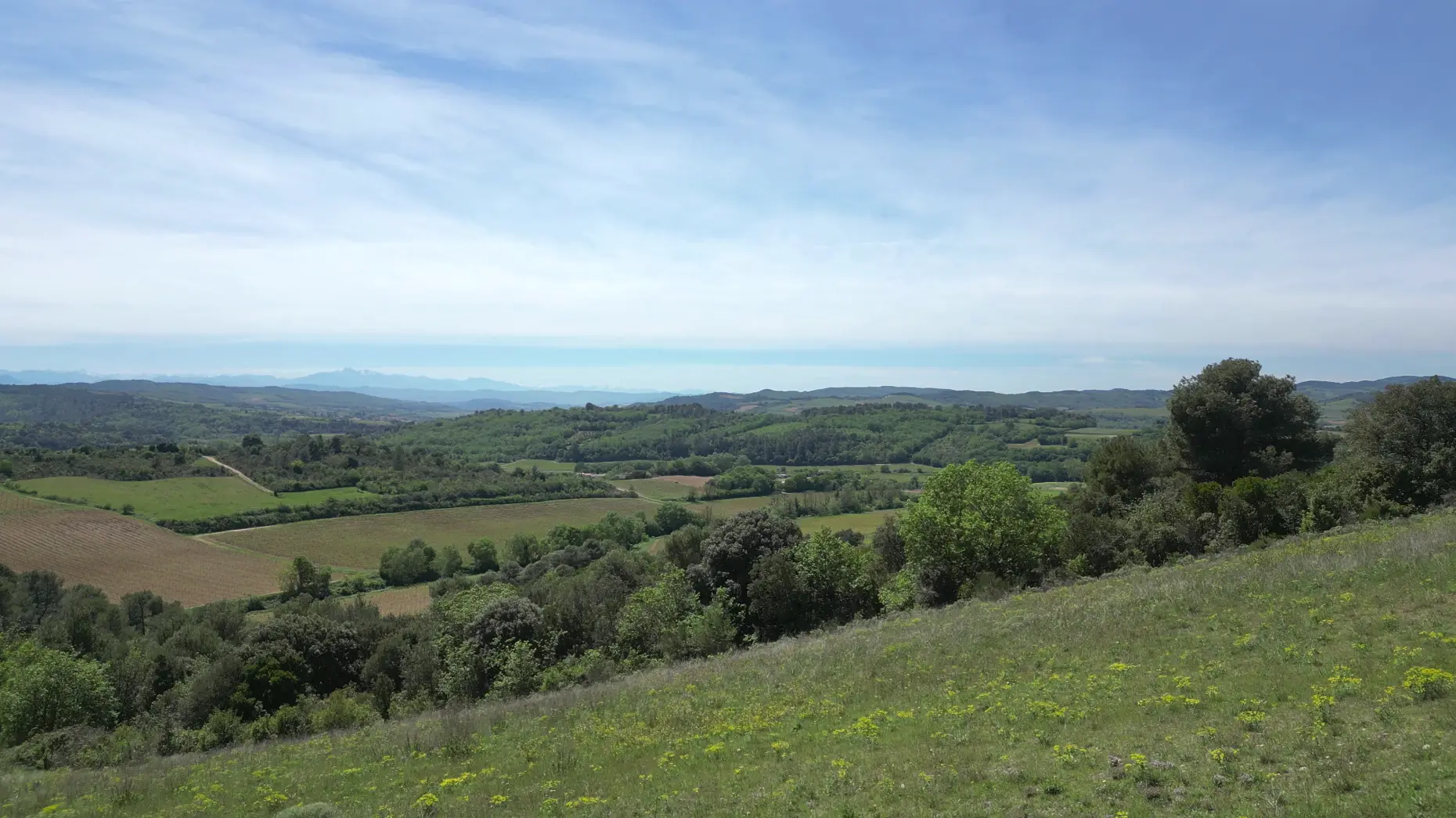 Le Panorama