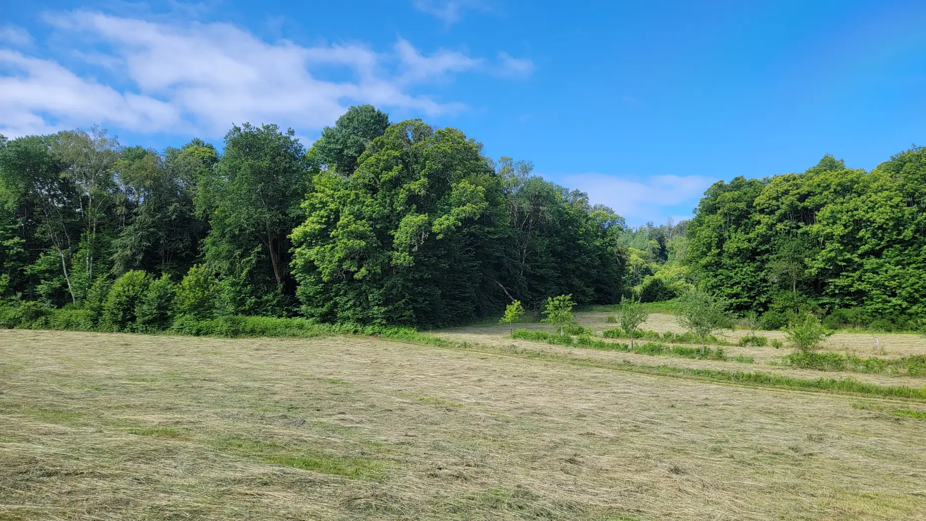 Le Verger de la Creuse #4