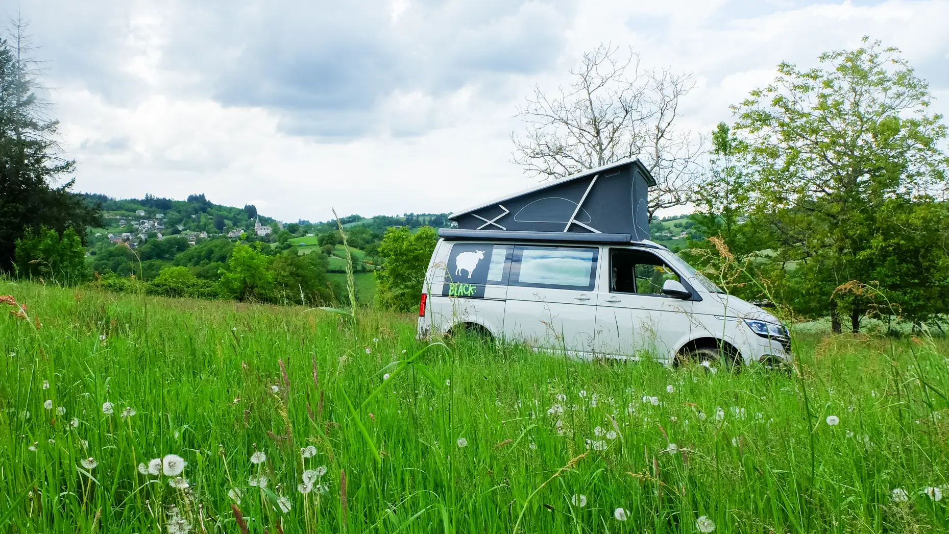 Higones