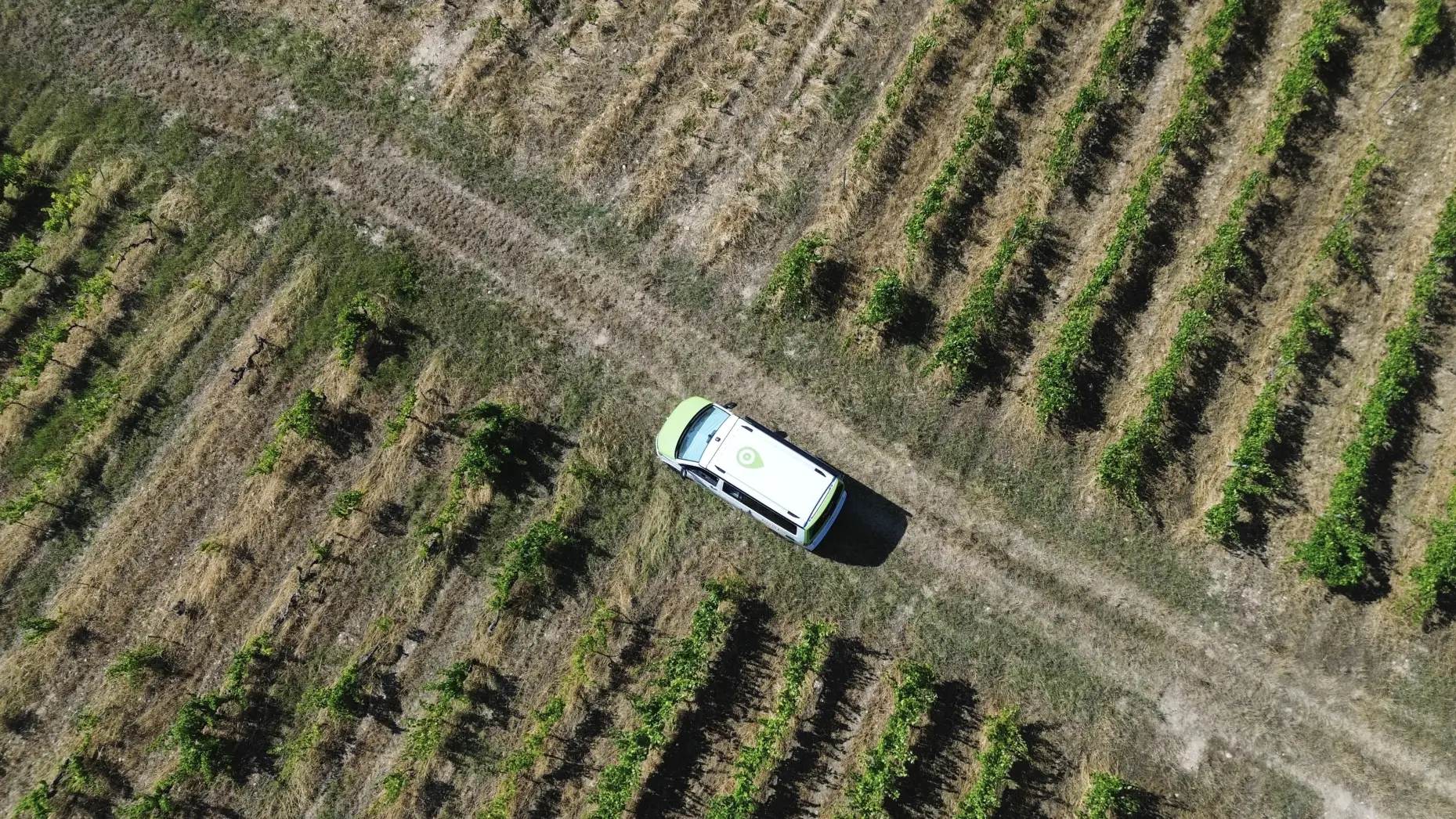 Le domaine du mas des Escarades