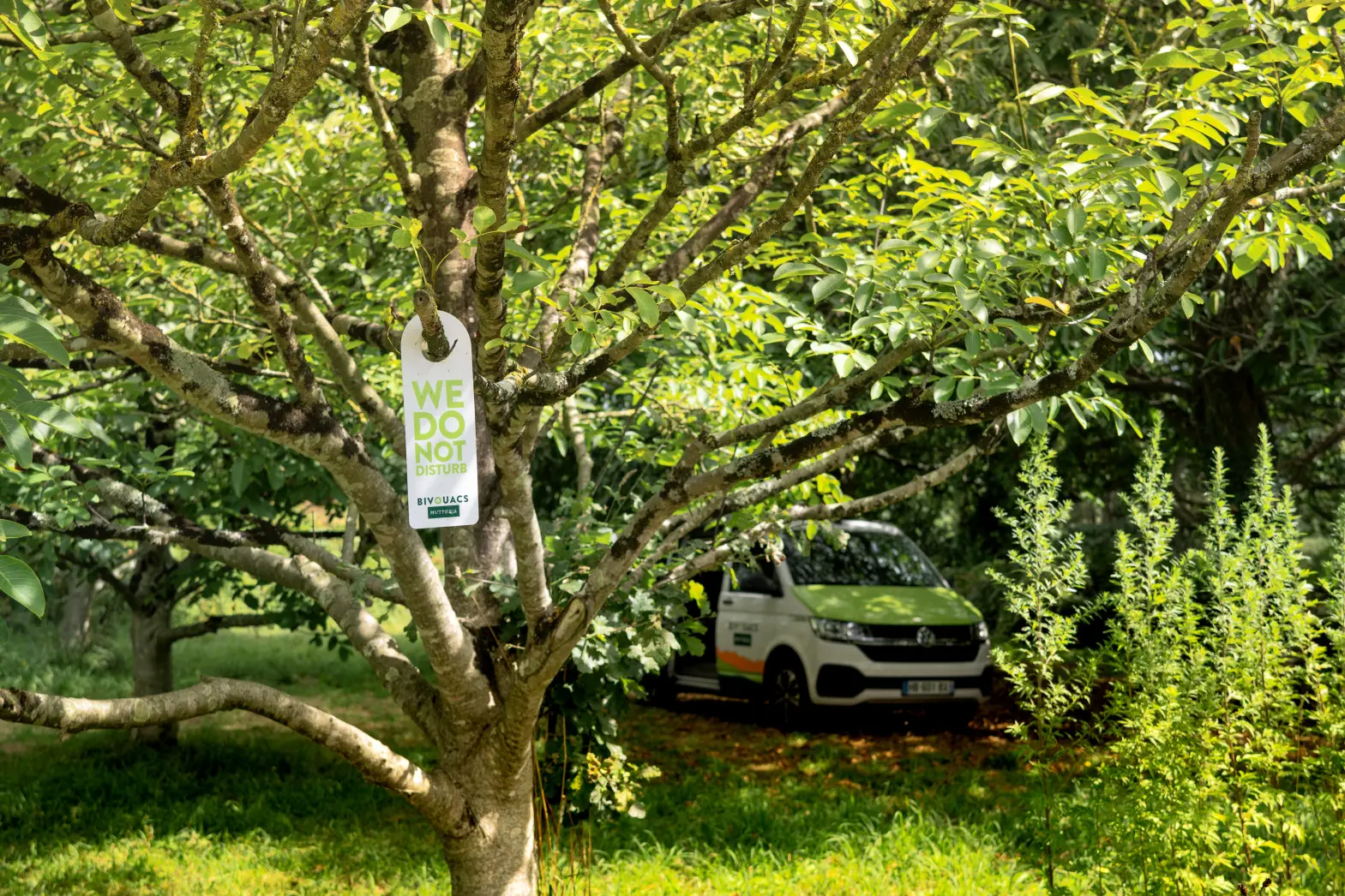 Le champ de Christine