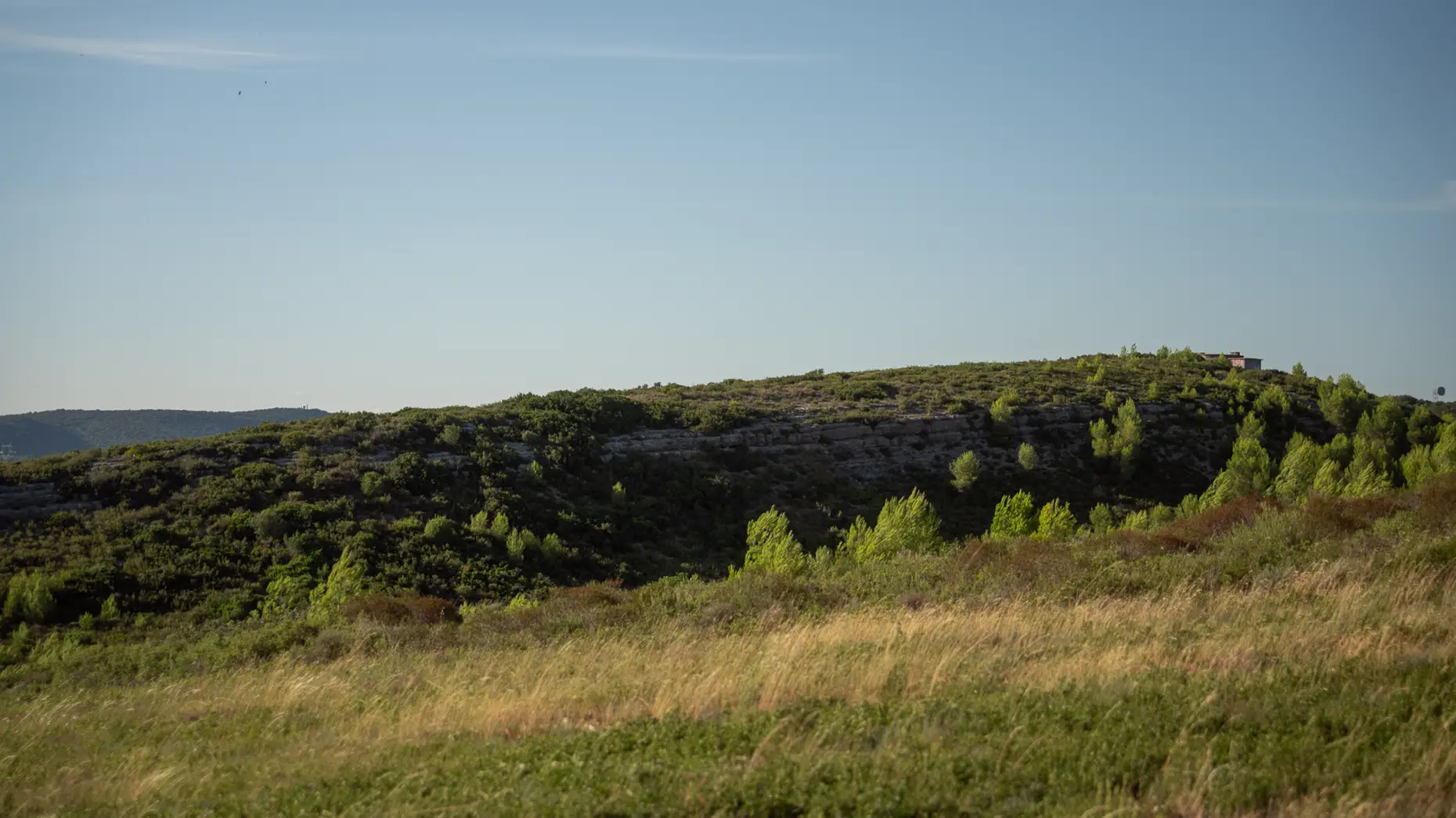 Montaud 2
