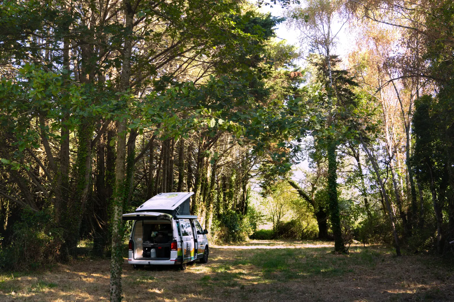 L’abri des grands arbres