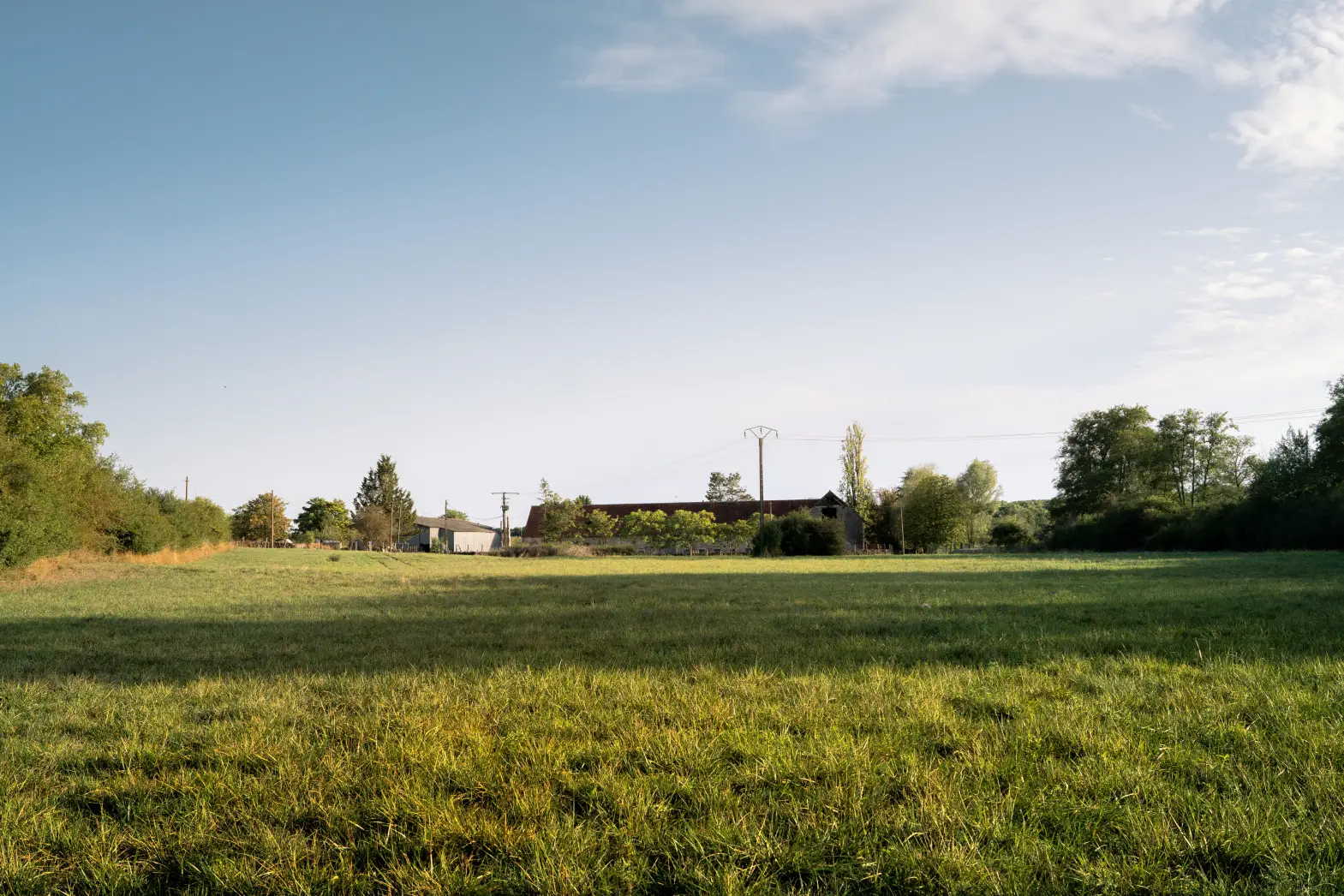 Le pré du domaine #6