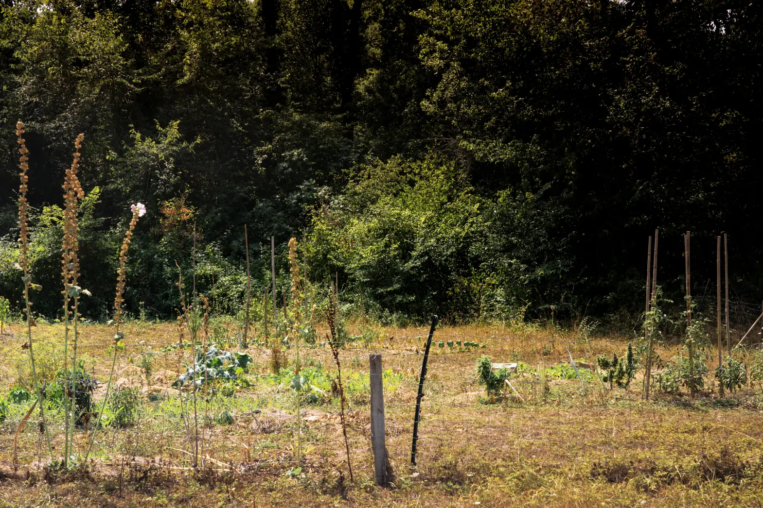 Le potager du Gers