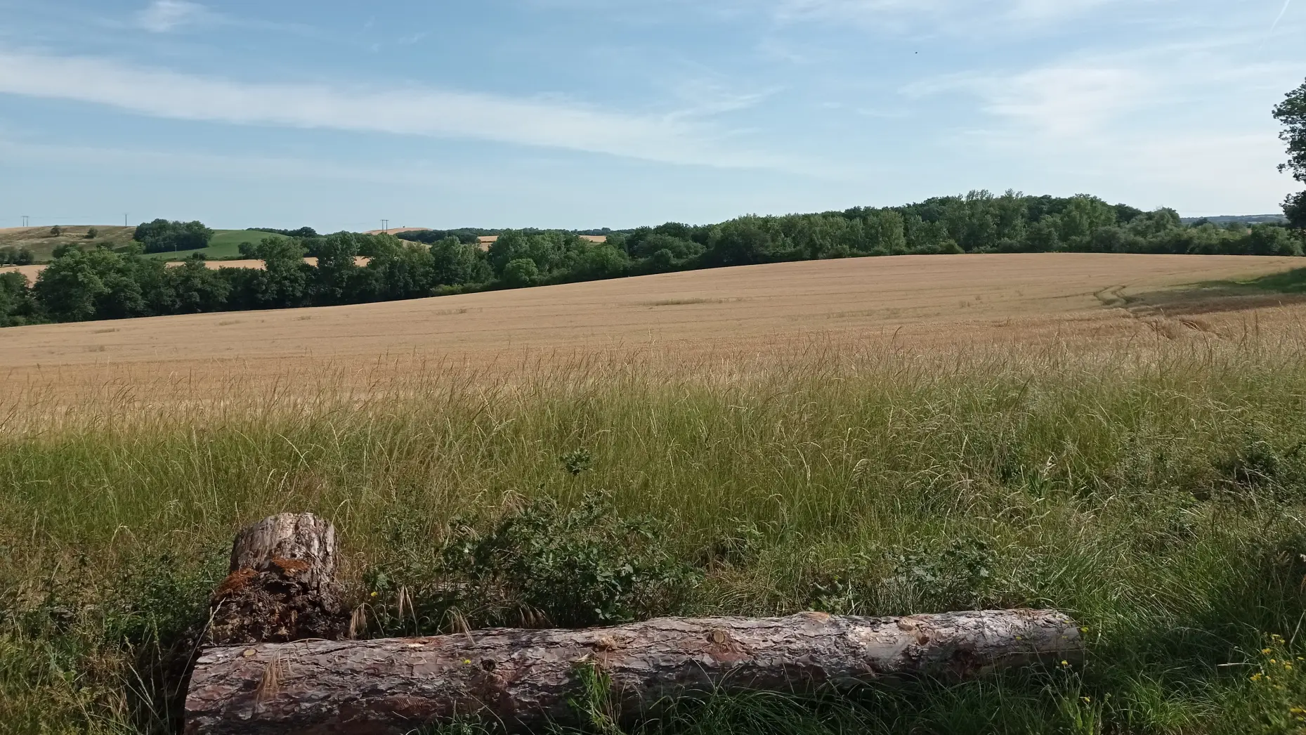 Le Pigeonnier du château