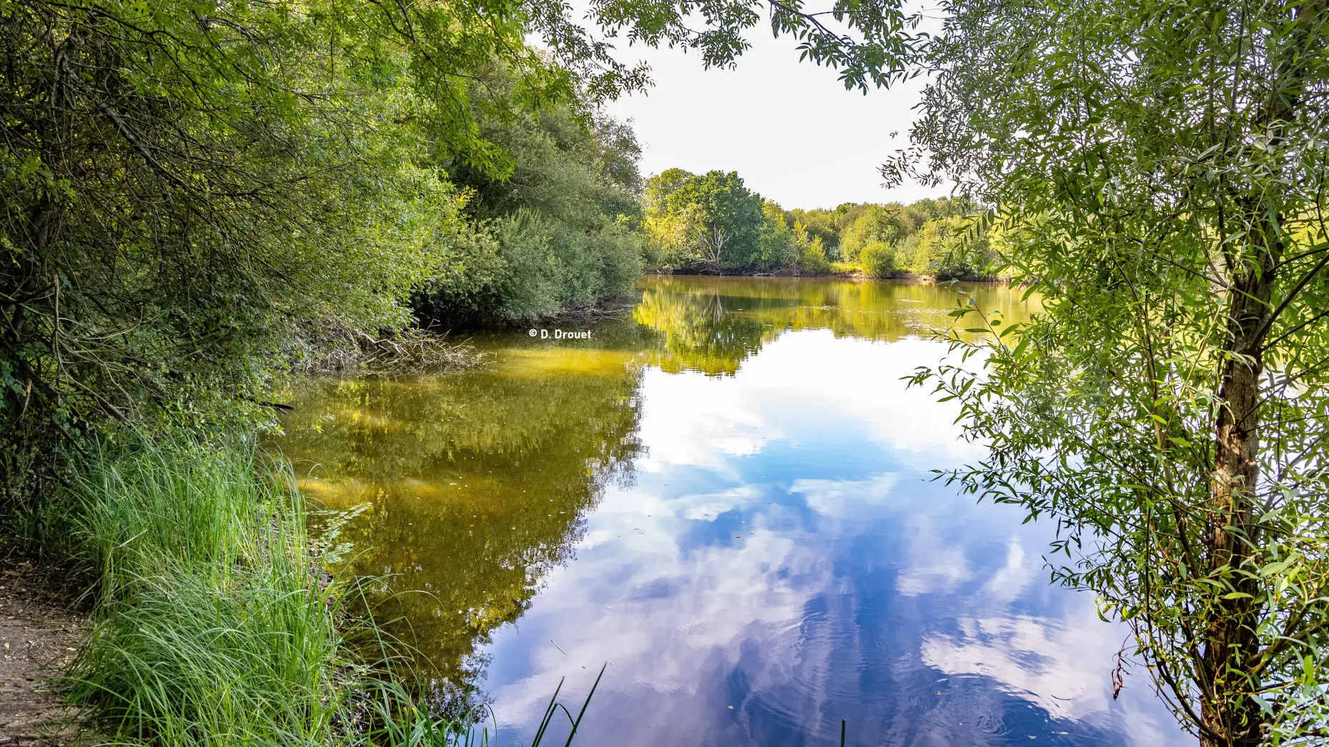 Camping l’Orée des Boires