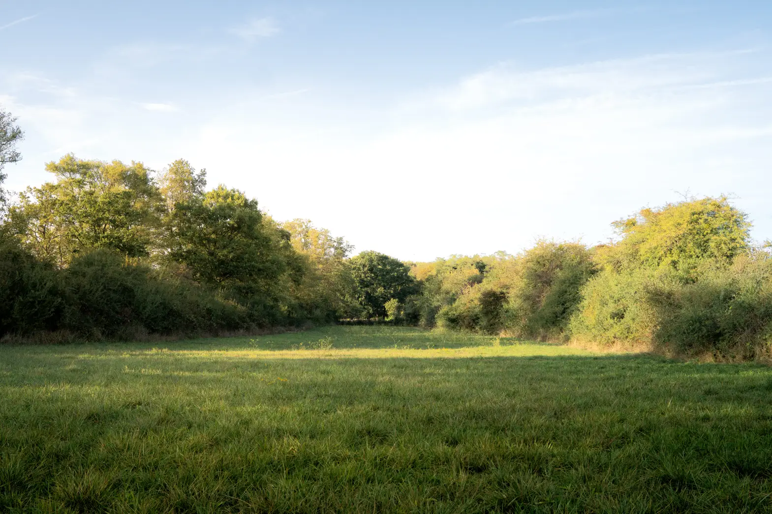 Le pré du domaine