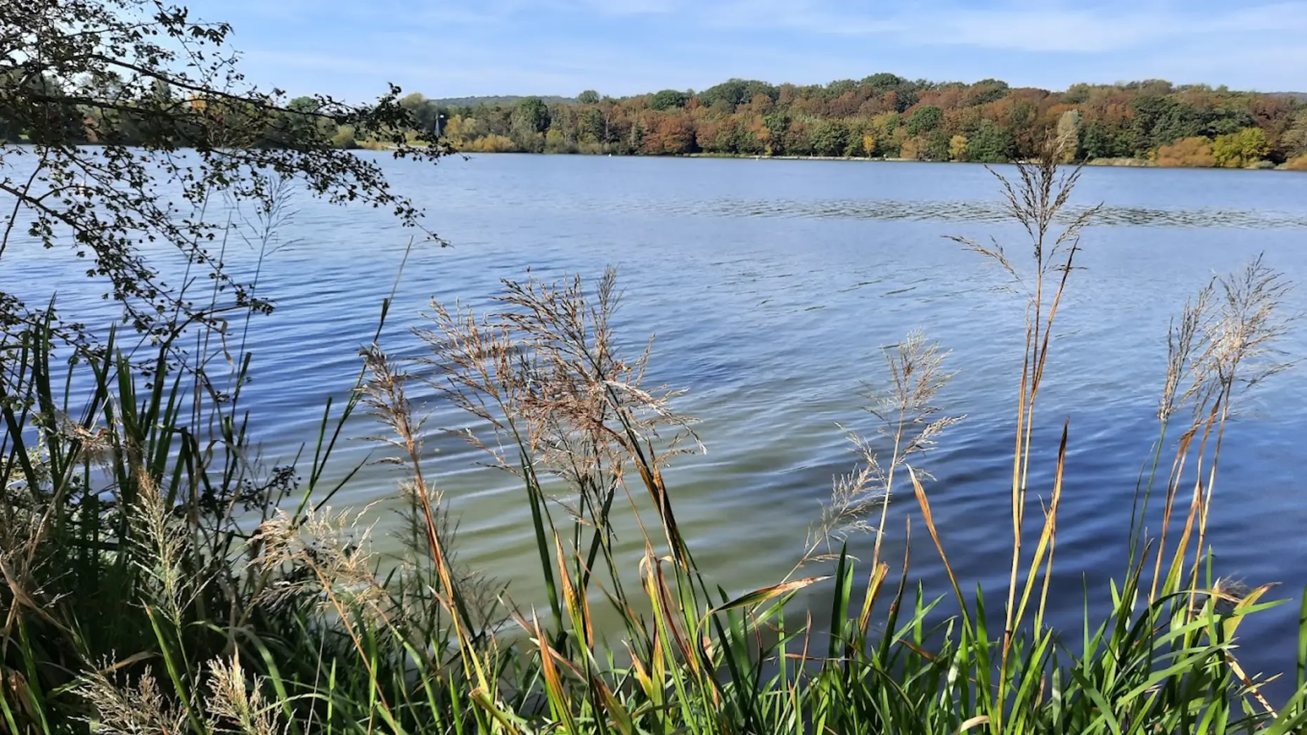 Camping de l'Etang des Forges