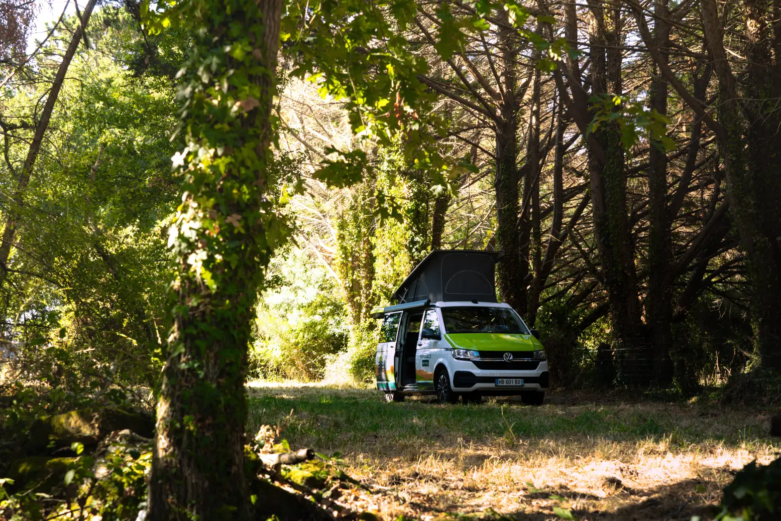 L’abri des grands arbres