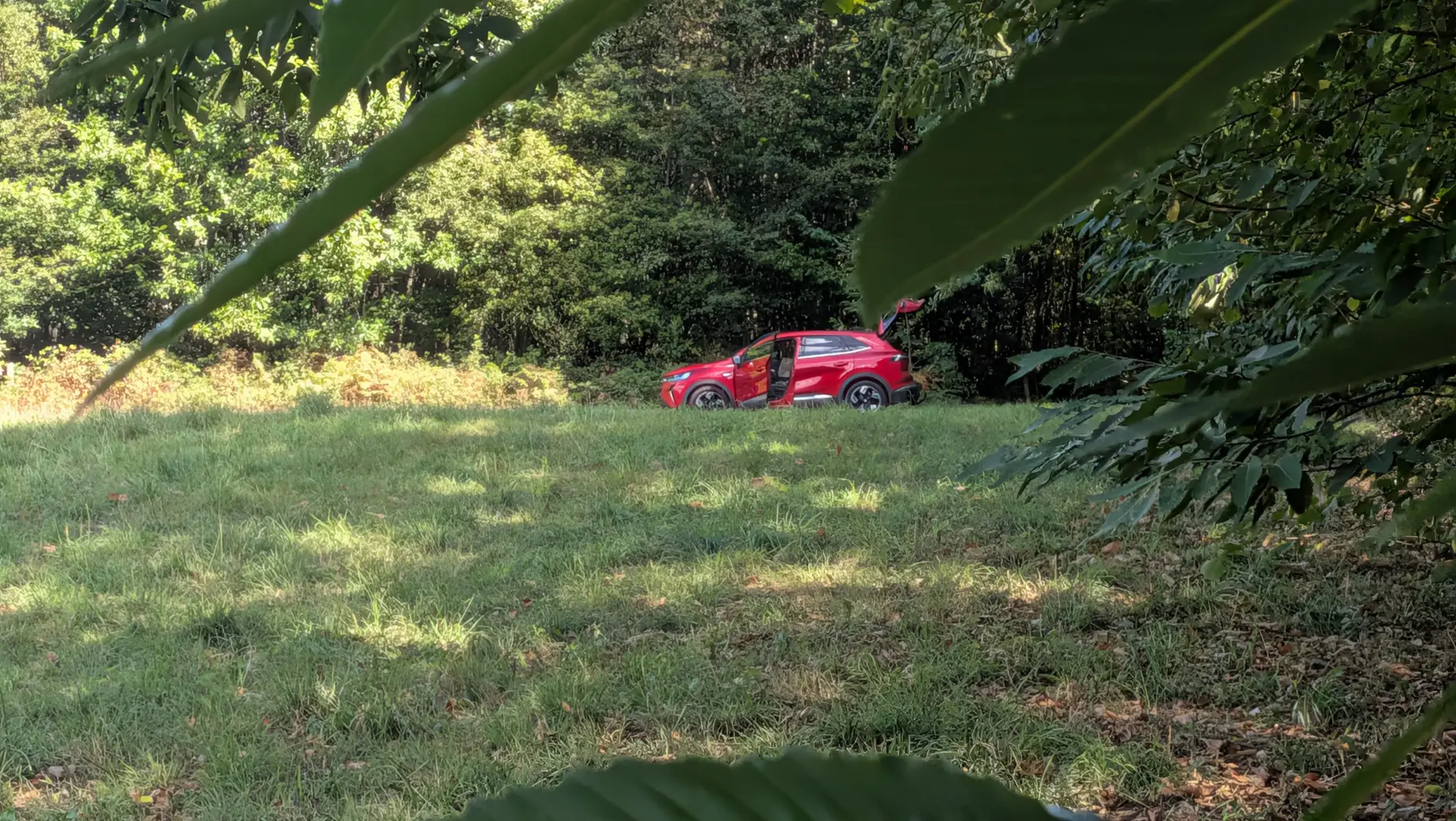 La clairière de la Manche