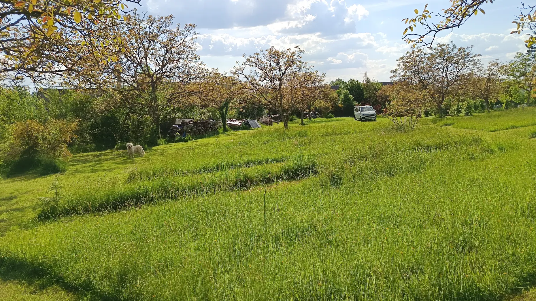 Les noyers