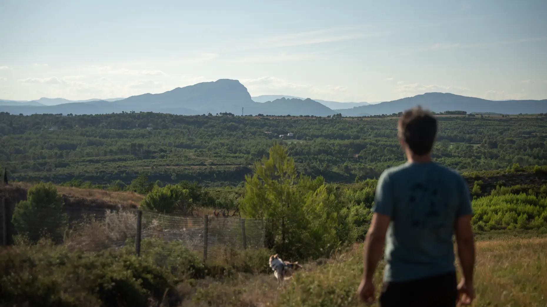 Montaud